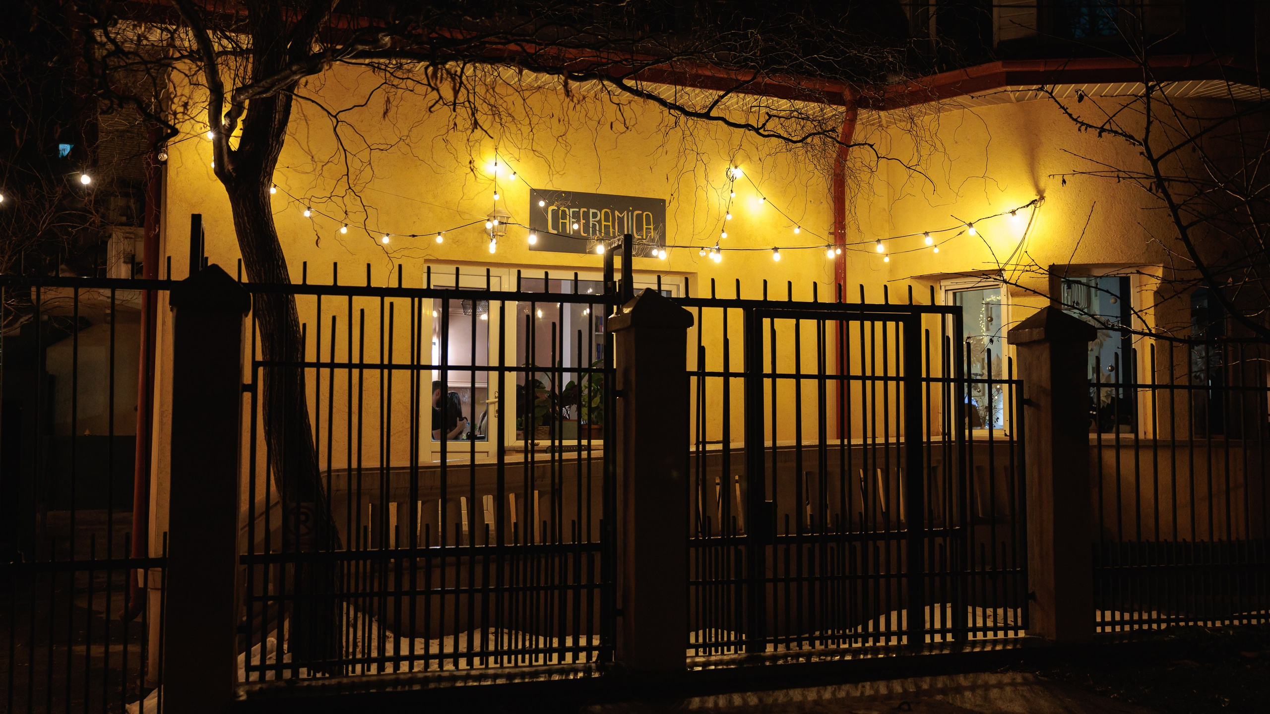 Ecaterina Opera - Caferamica. Marius Ciocan