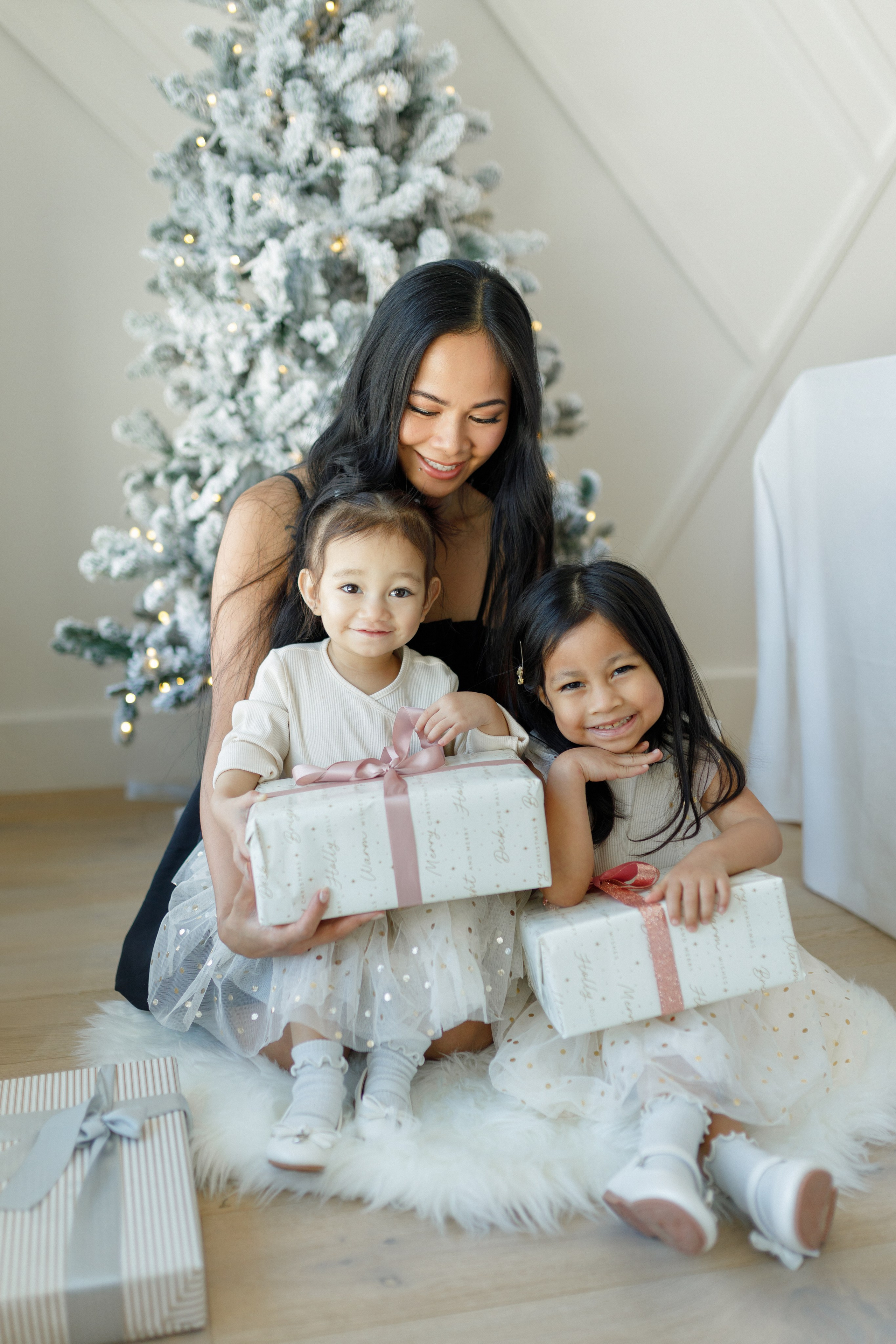 Christmas minis 2025. Home