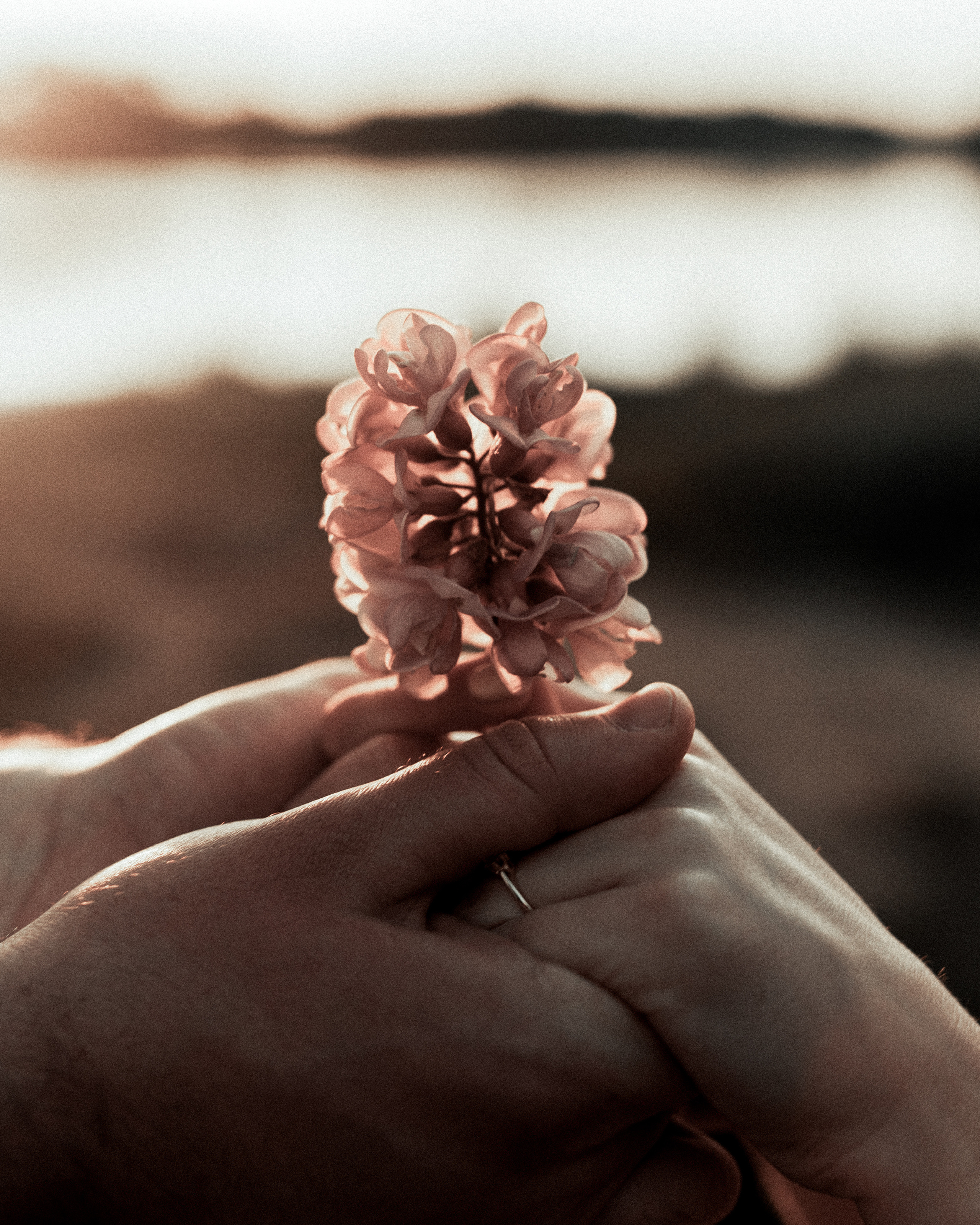 Love Stories. Mike Avelli