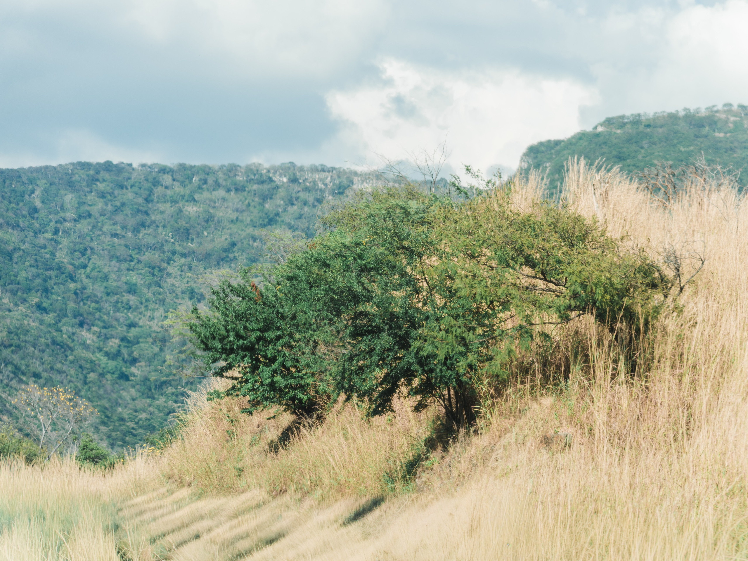 ERALPUCHE | Fotografía de Arquitectura, Espacios y Paisaje