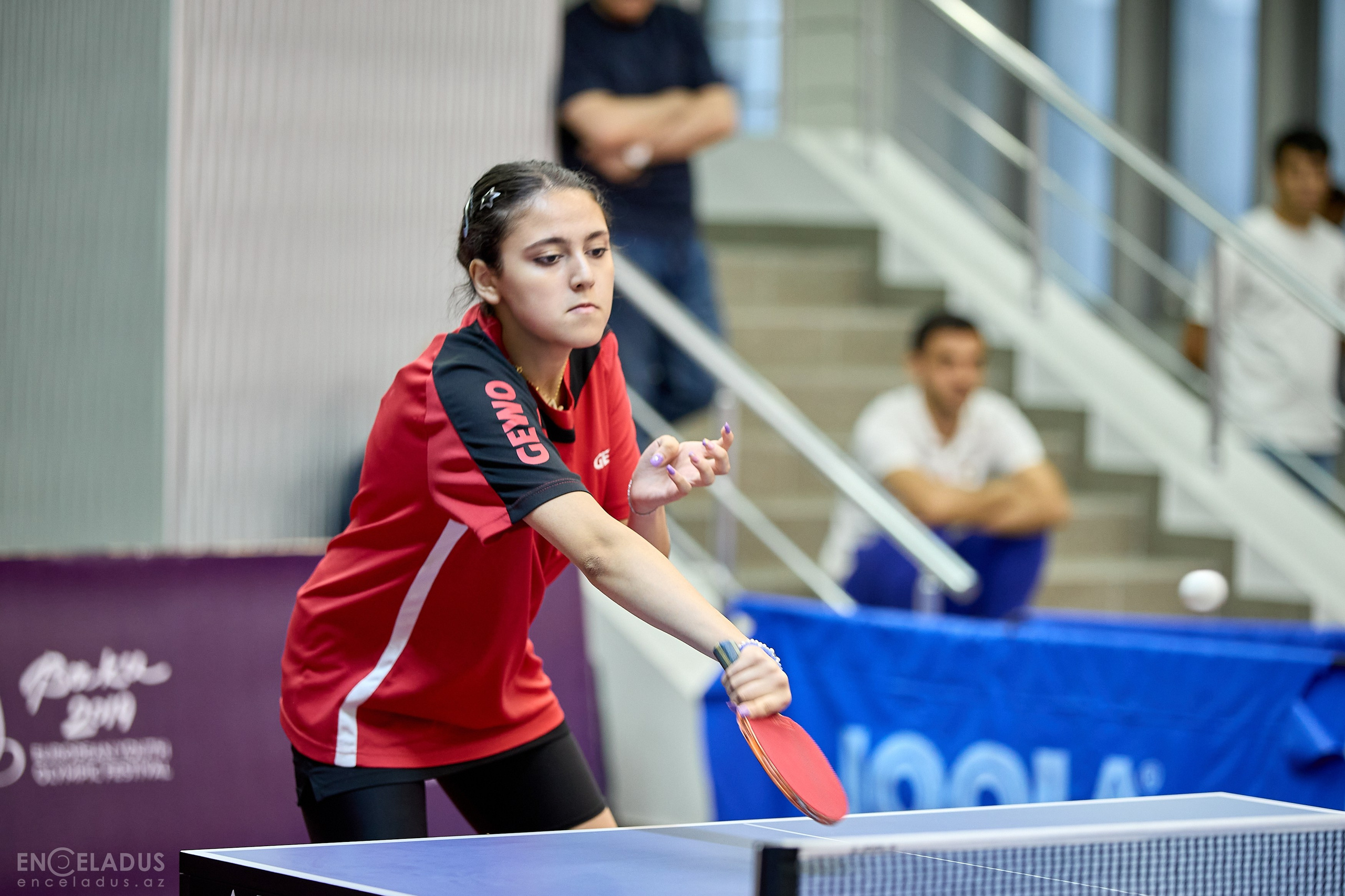 Table Tennis. Mix Tournament. Фотограф в Баку Kamran Enceladus