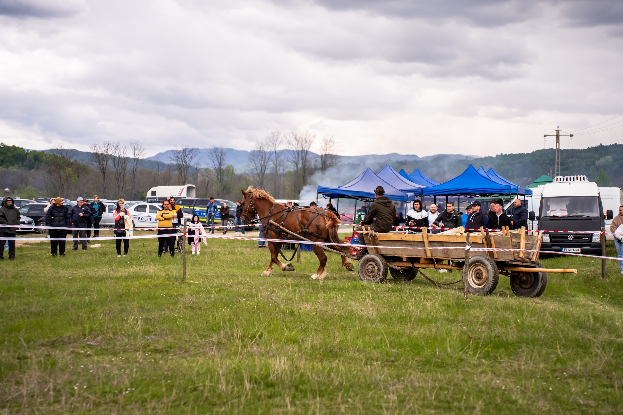 Concurs Ecvestru Vărbilău ediția a 4-a. Mihai Alexandra Events