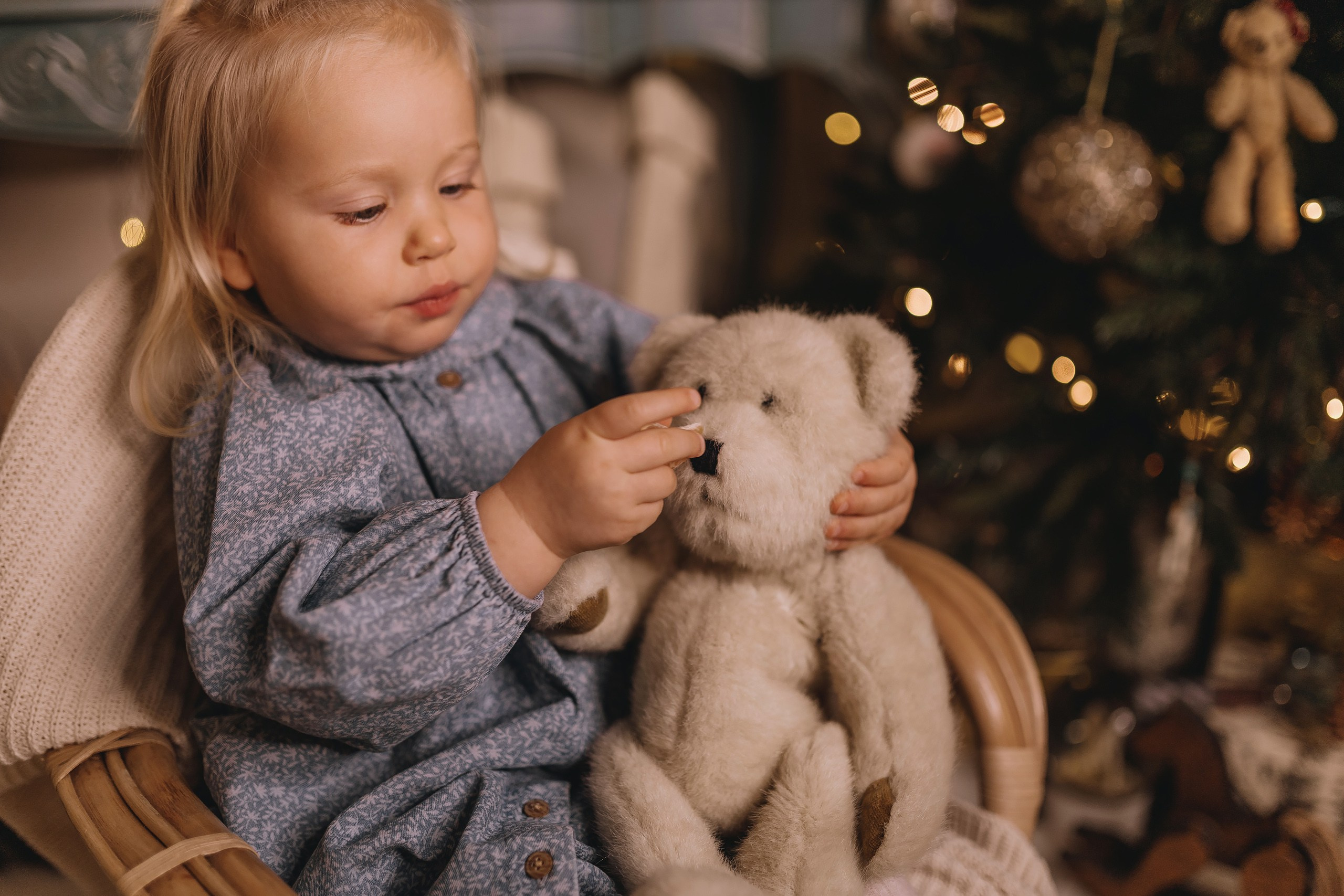 12.08.2025 Christmas Photoshoot. Wedding family event photographer in Chicago Nick Yushevich