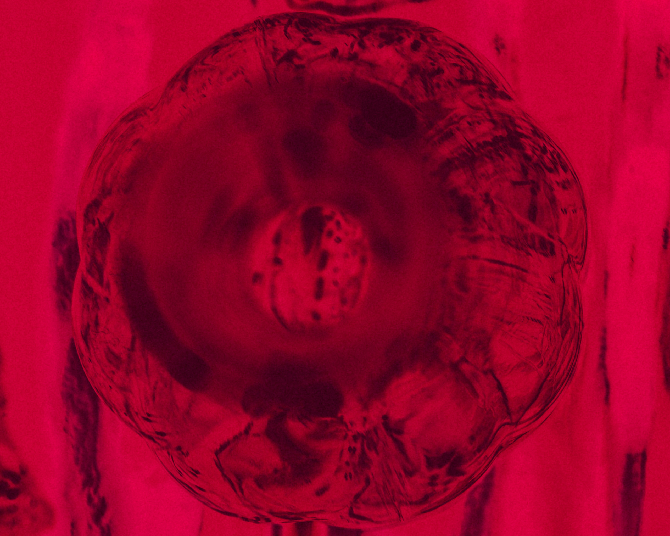 Still life. Ekaterina Tsurkina-Appina Photography Canada