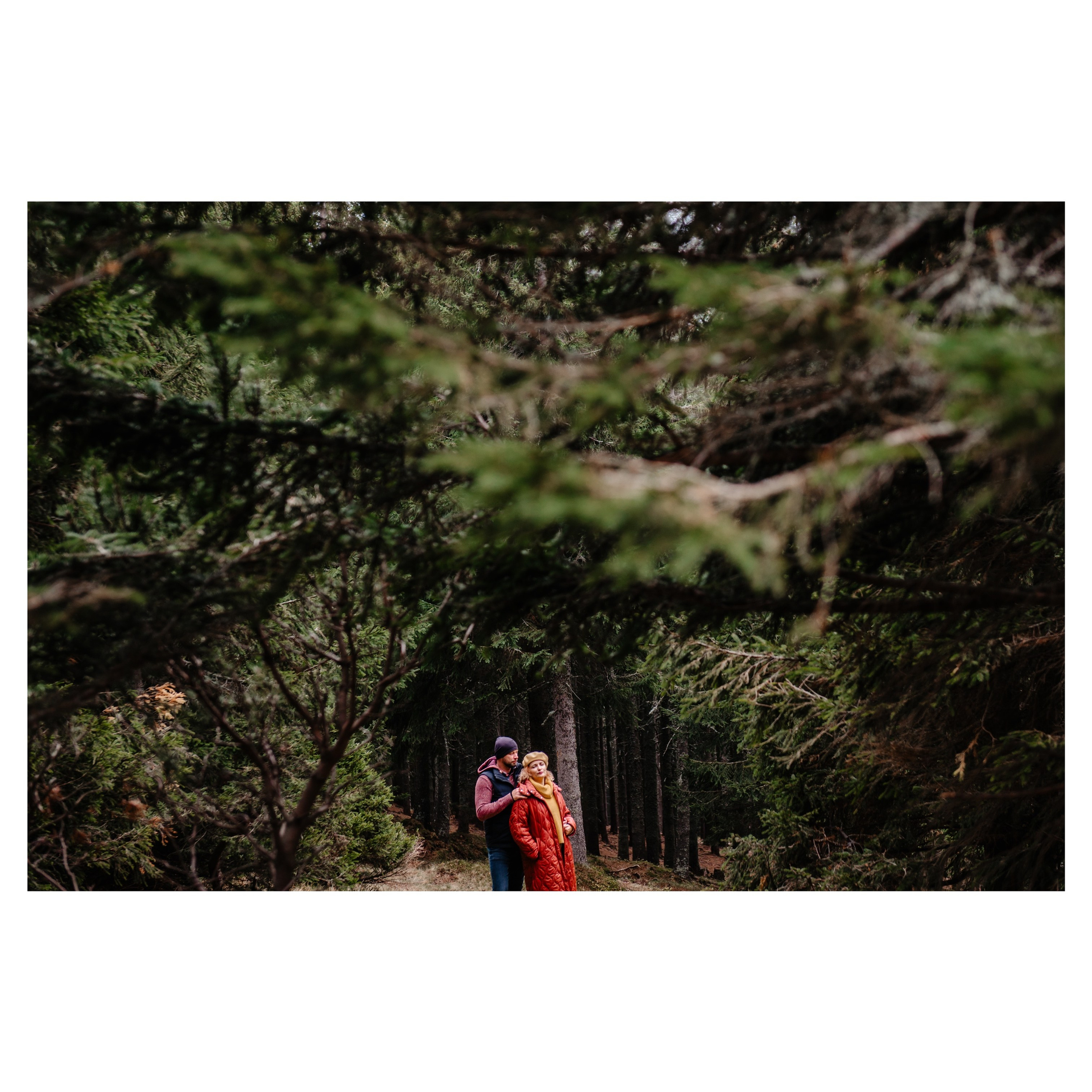 Workshop. Ionut Birceanu