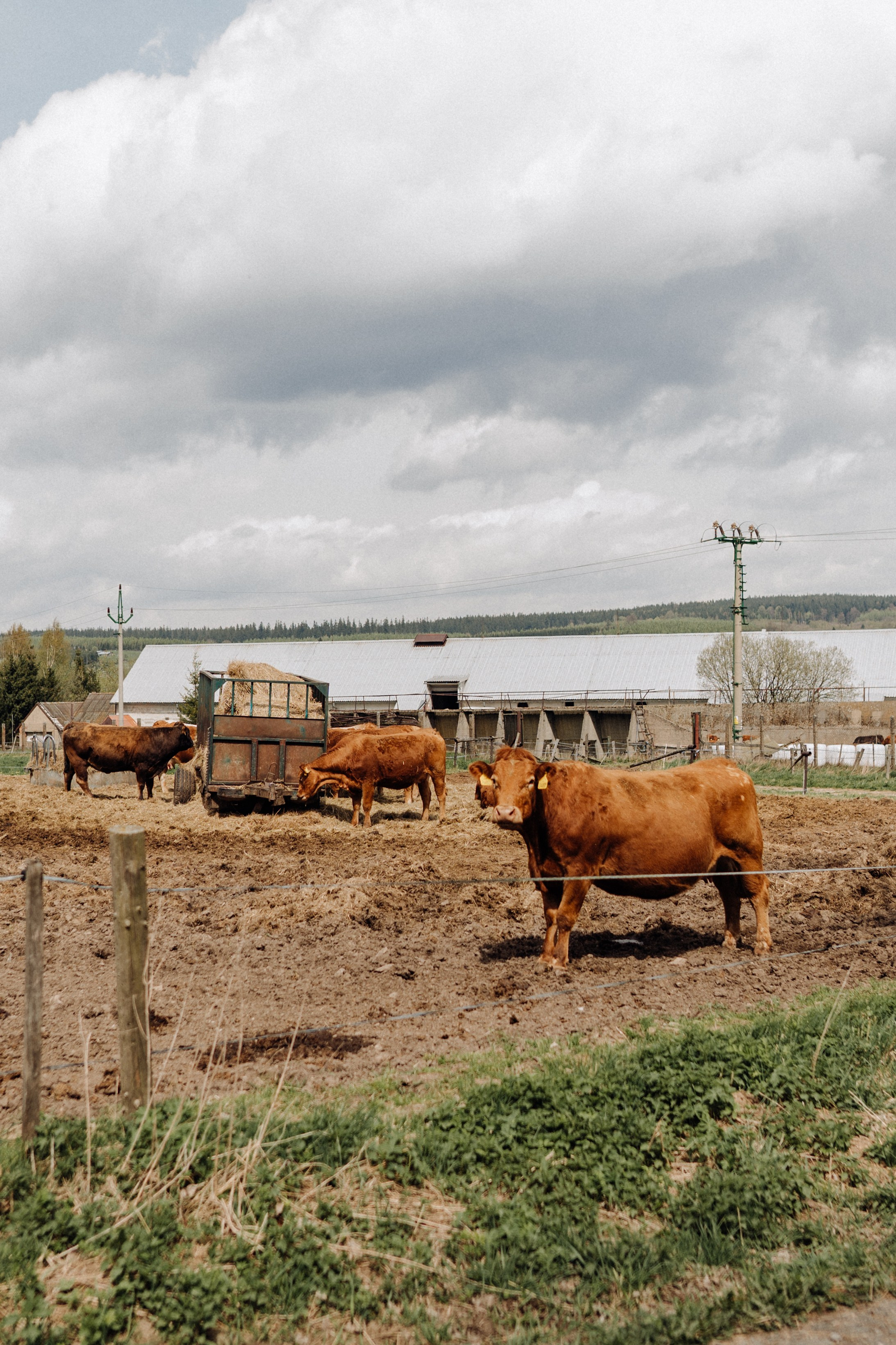 Czech Republic. Фотограф в Праге Анна Лебедева