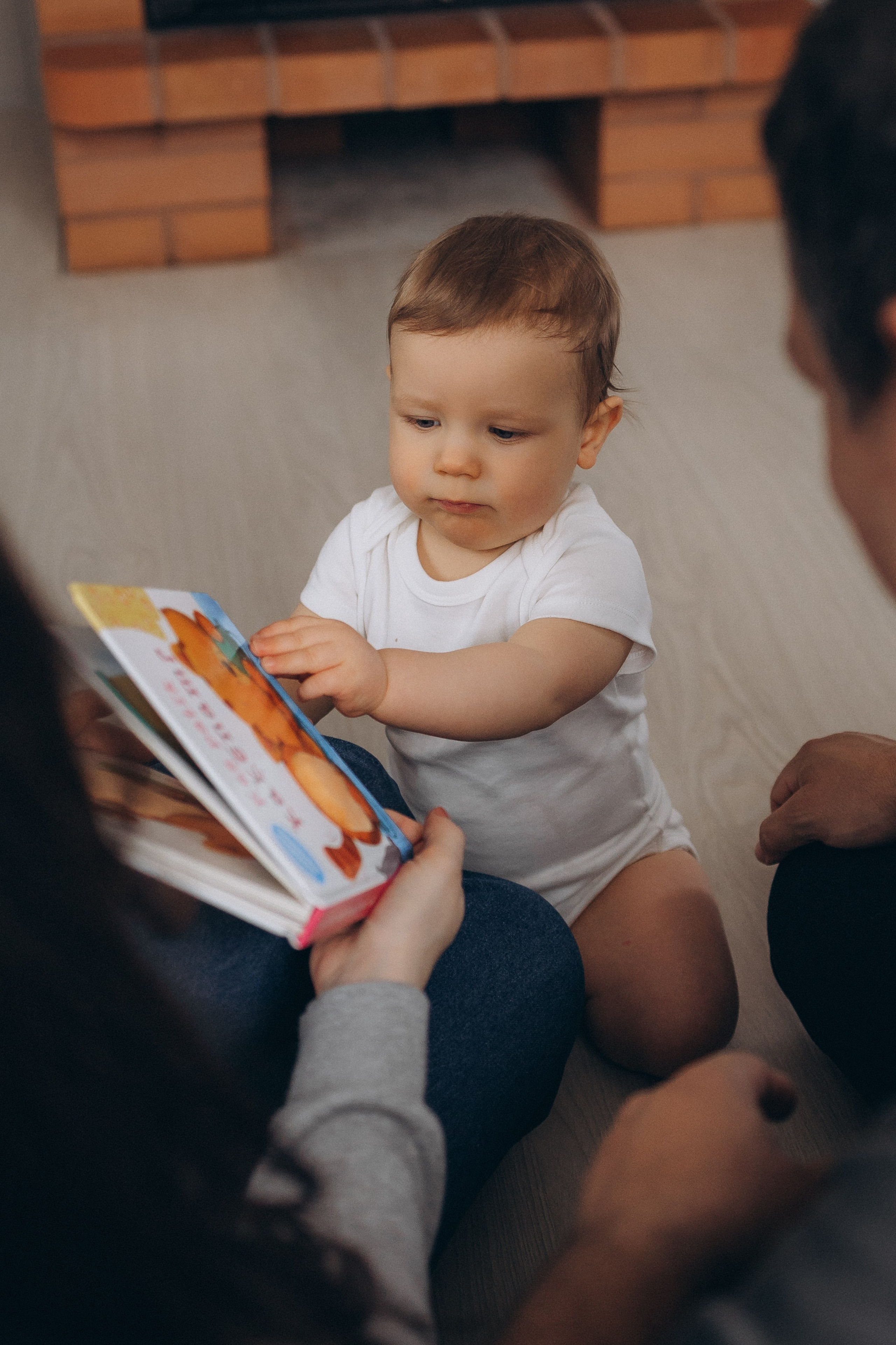 DITAS ģimene. GALVENĀ