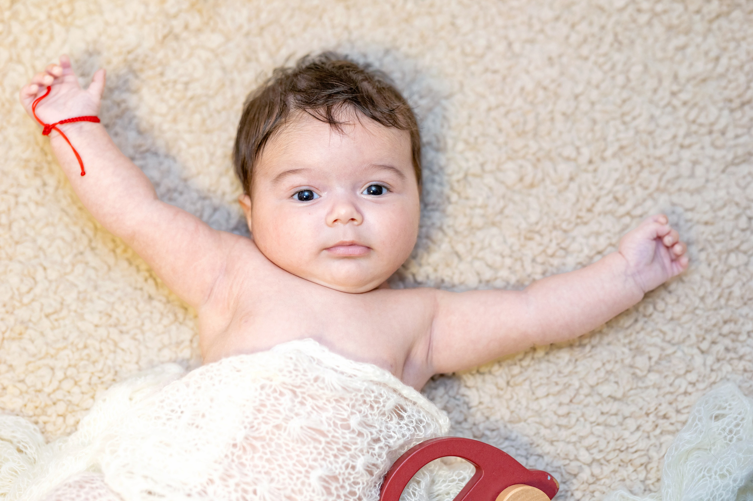 Andrei Sebastian. Moments By Gub