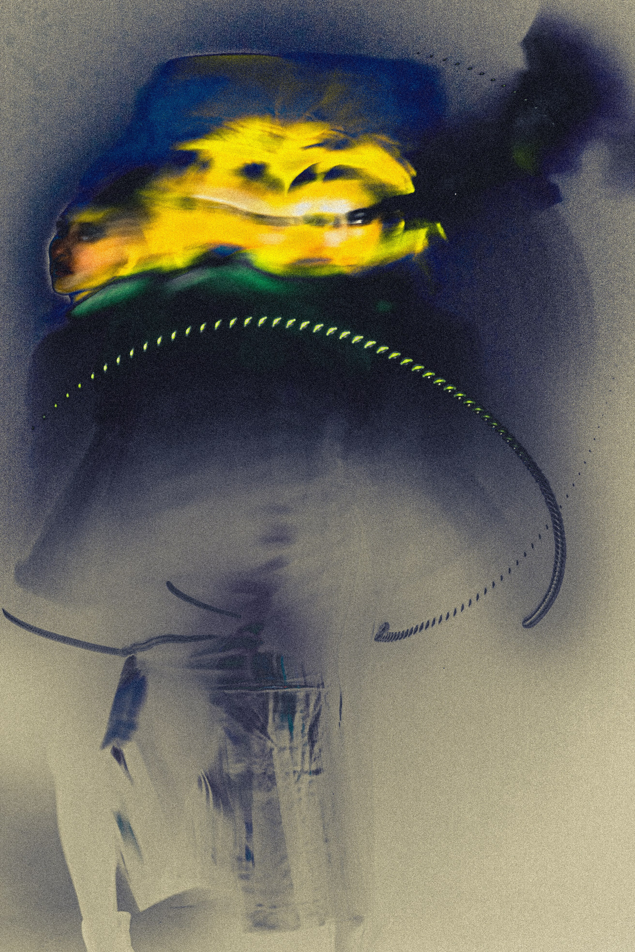 VANESA PROJECT. Anna Miyauchi