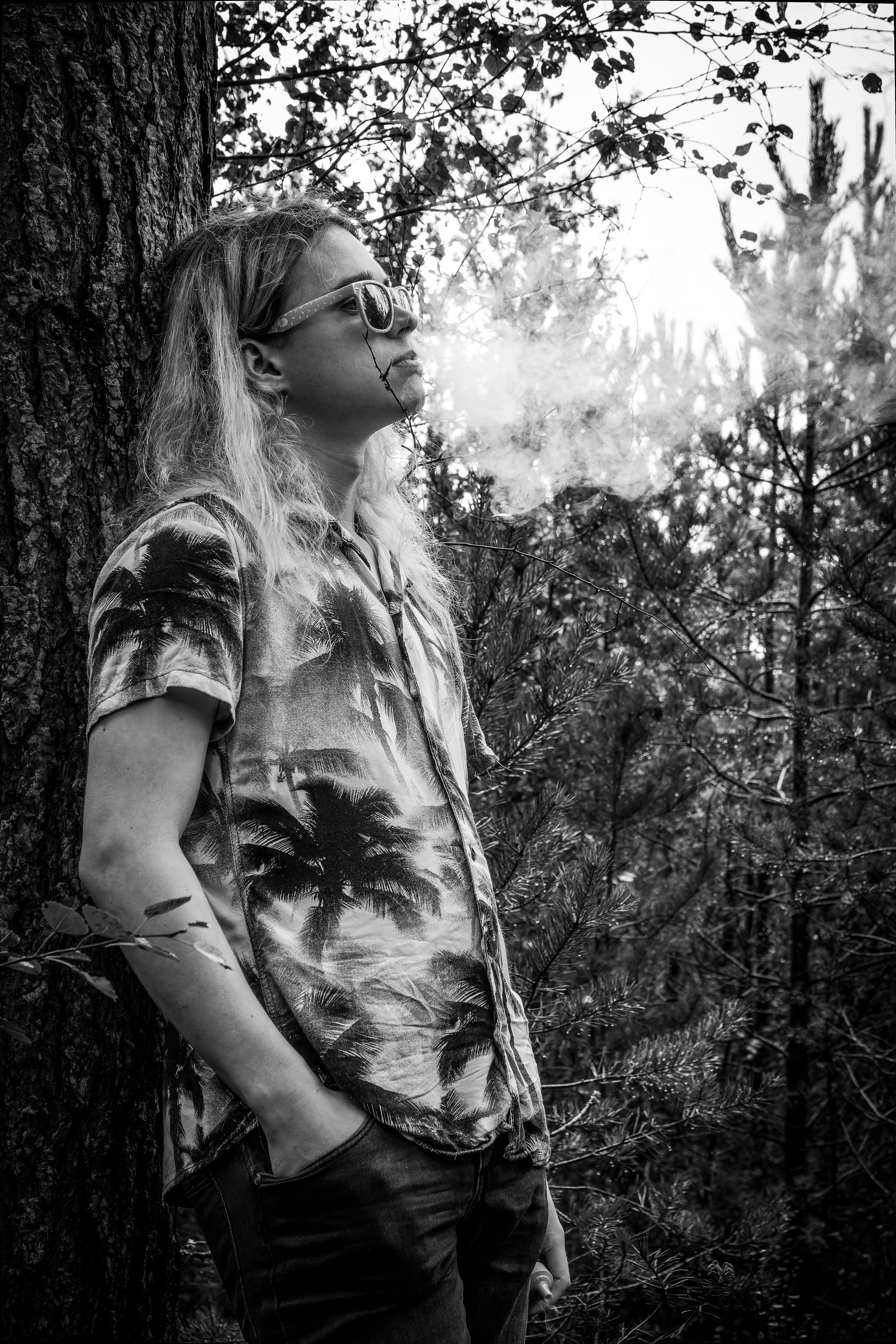 Mets, vihm ja jahedus (Dimitry). Nebula 25 — Fotod teie hingele