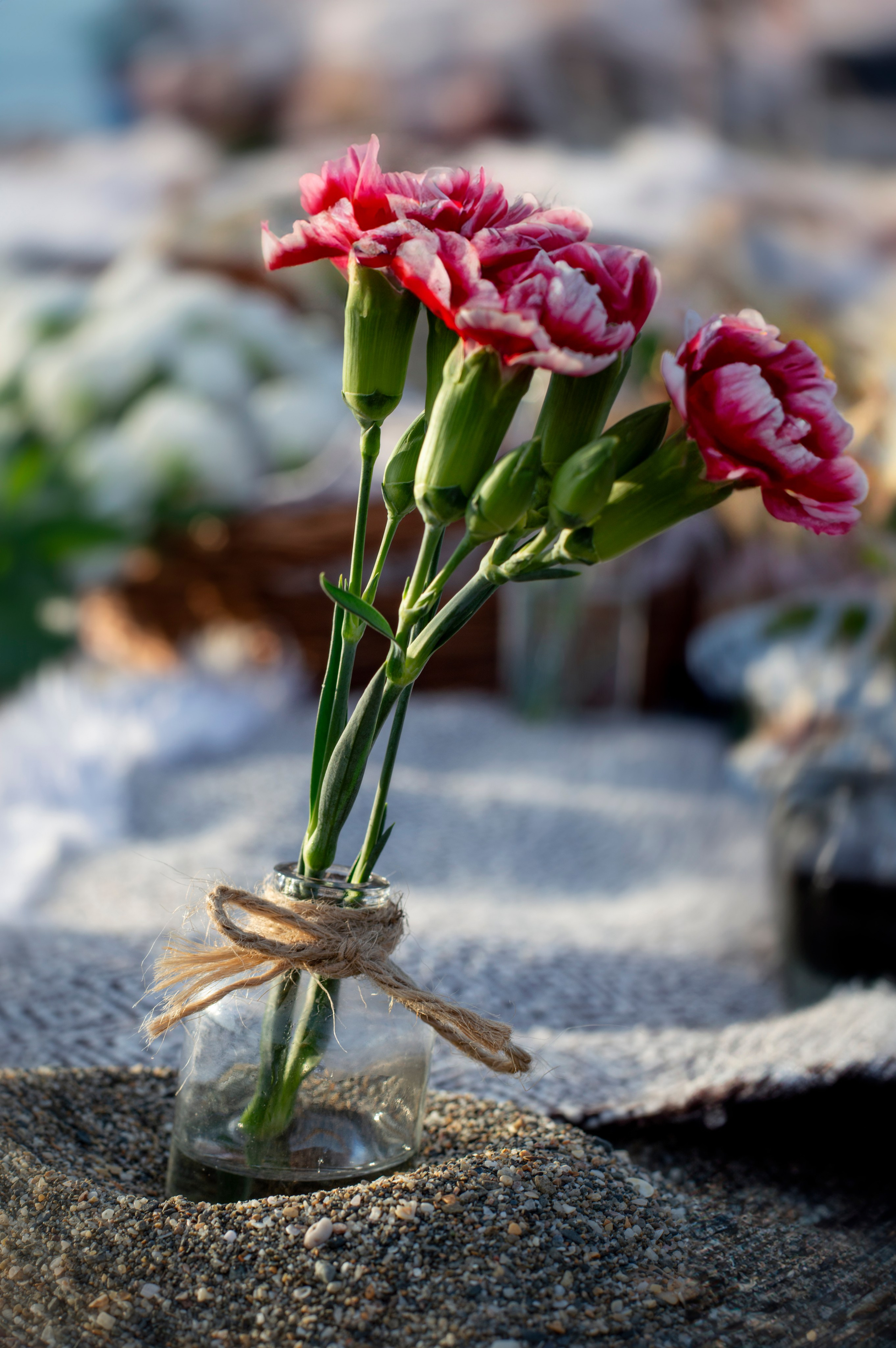 Пикник. Анастасия Благова — Твой фотограф в Малаге 🇪🇸