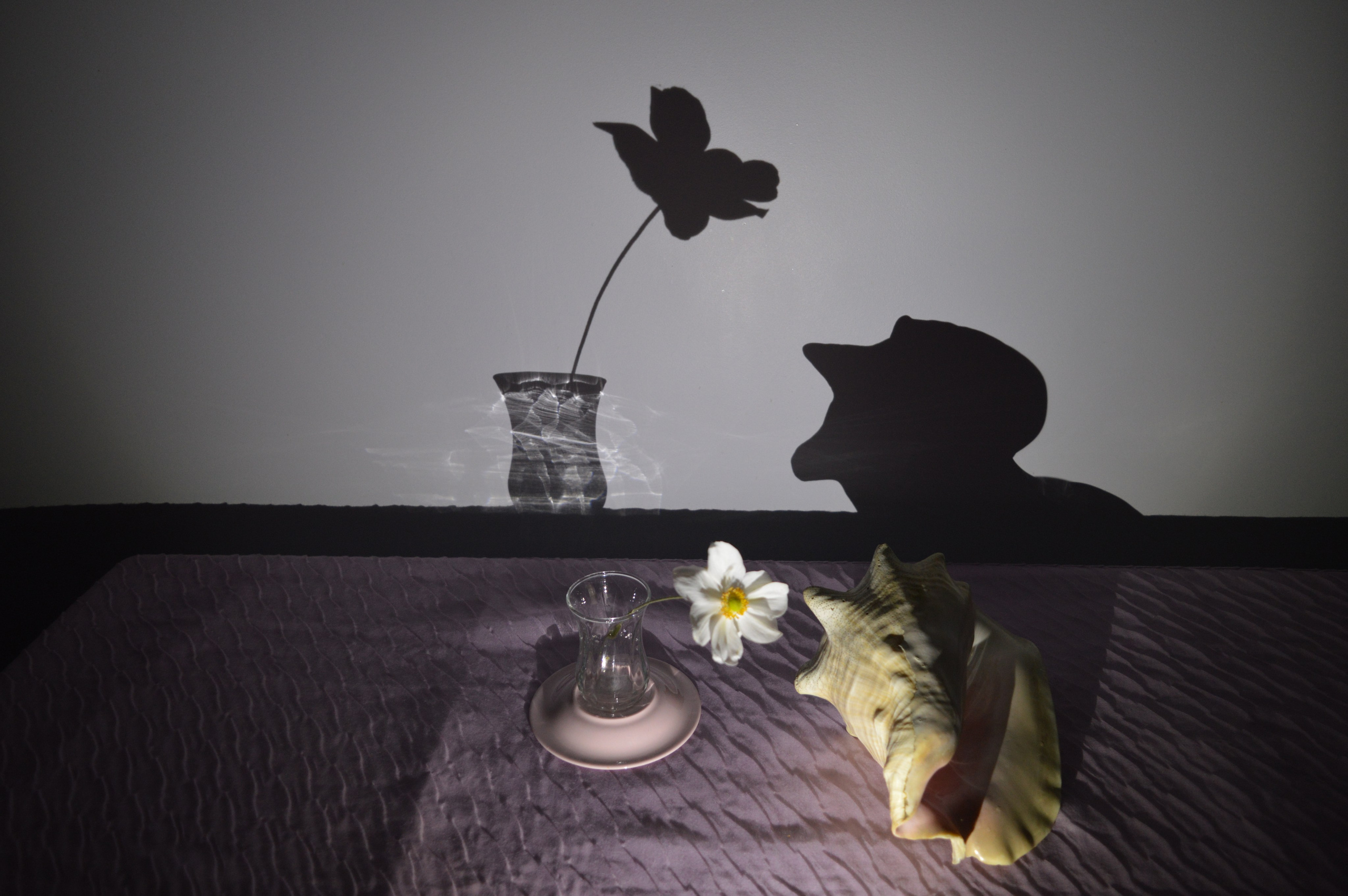 Работы учеников. Фотограф и преподаватель фотографии в Белграде