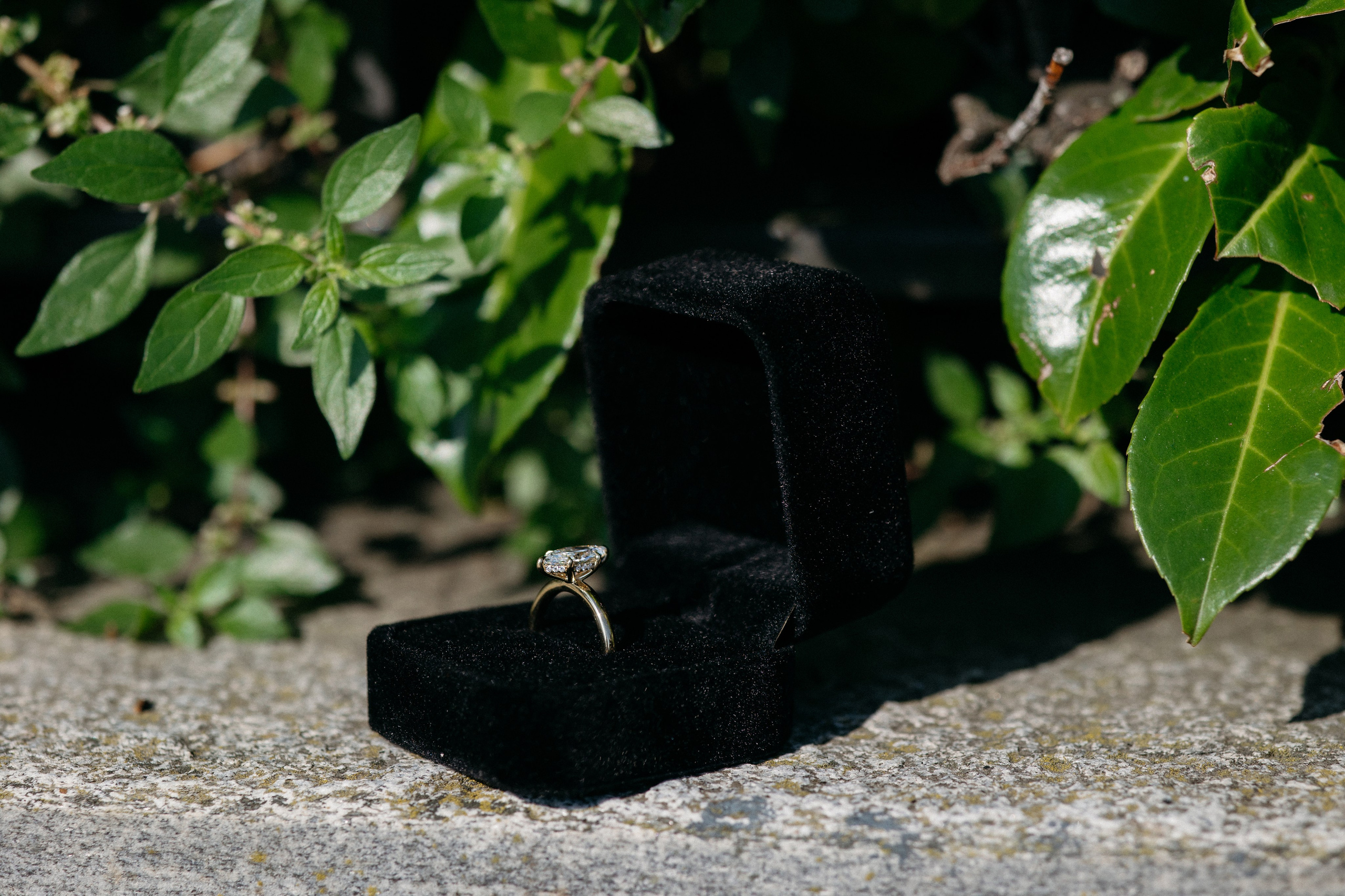 She said yes 💍. Wedding photographer in Italy