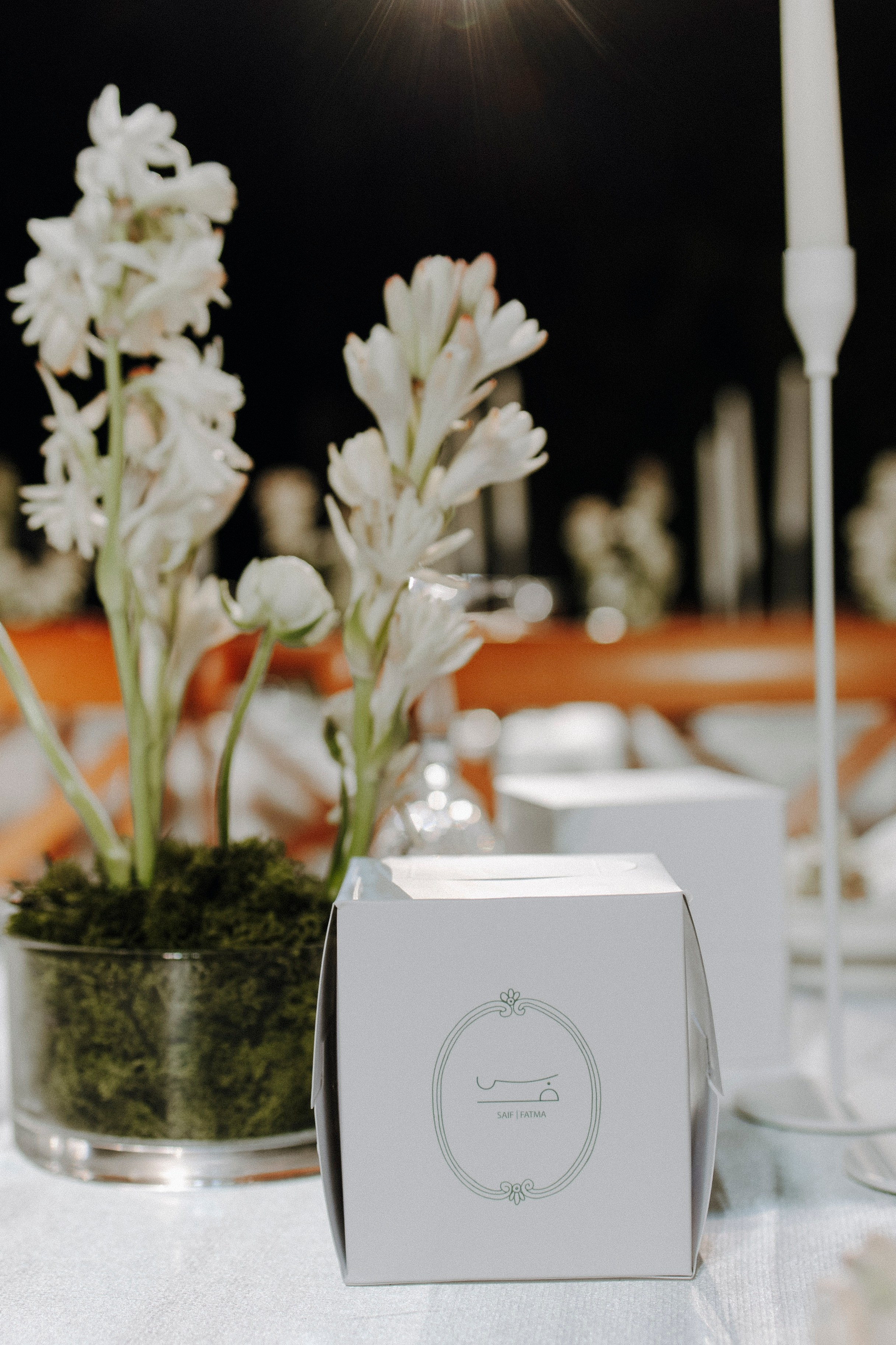 Fatima & Saif Melcha