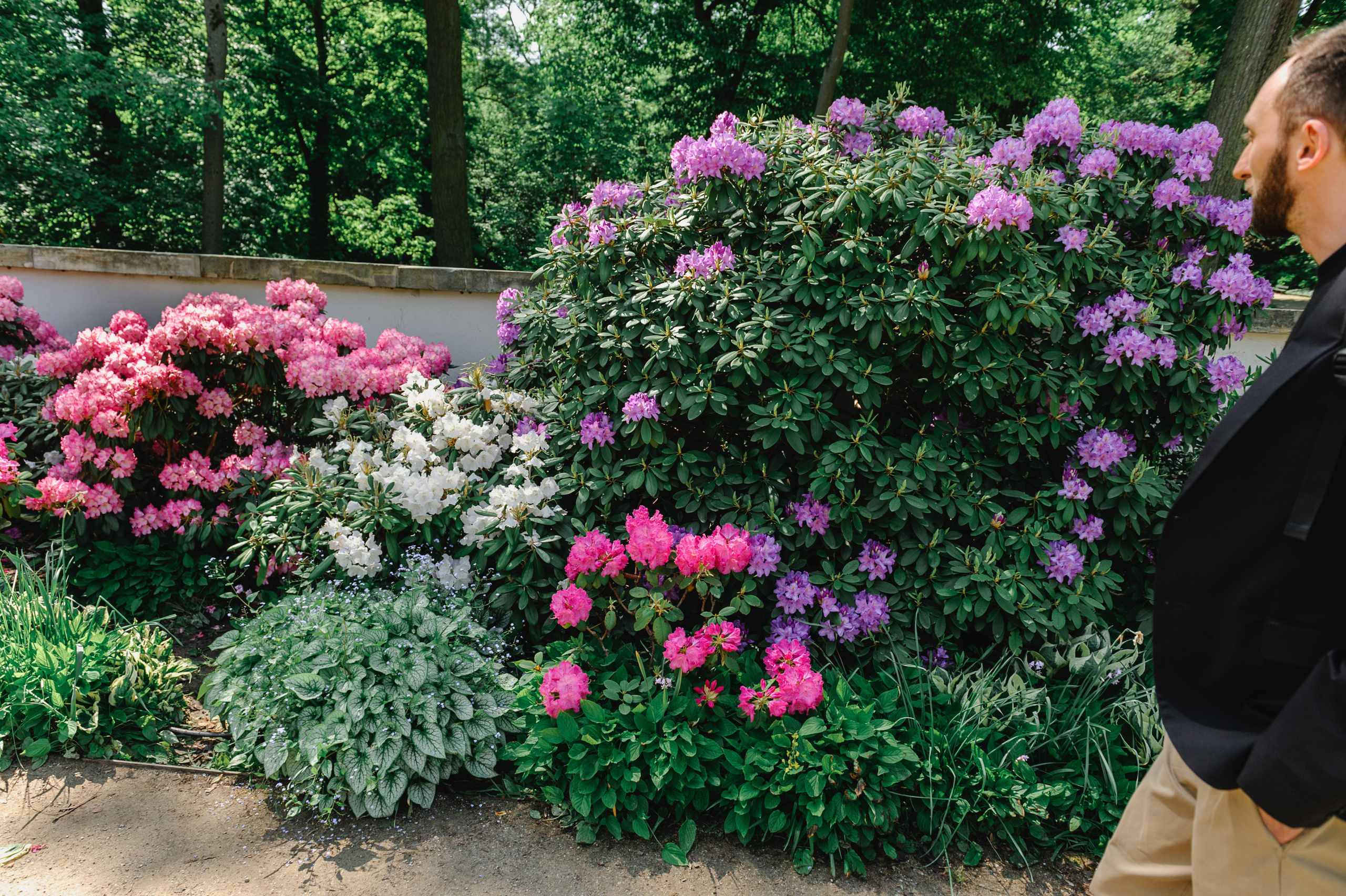 Flower beds in Lazienki Park in Warsaw.
