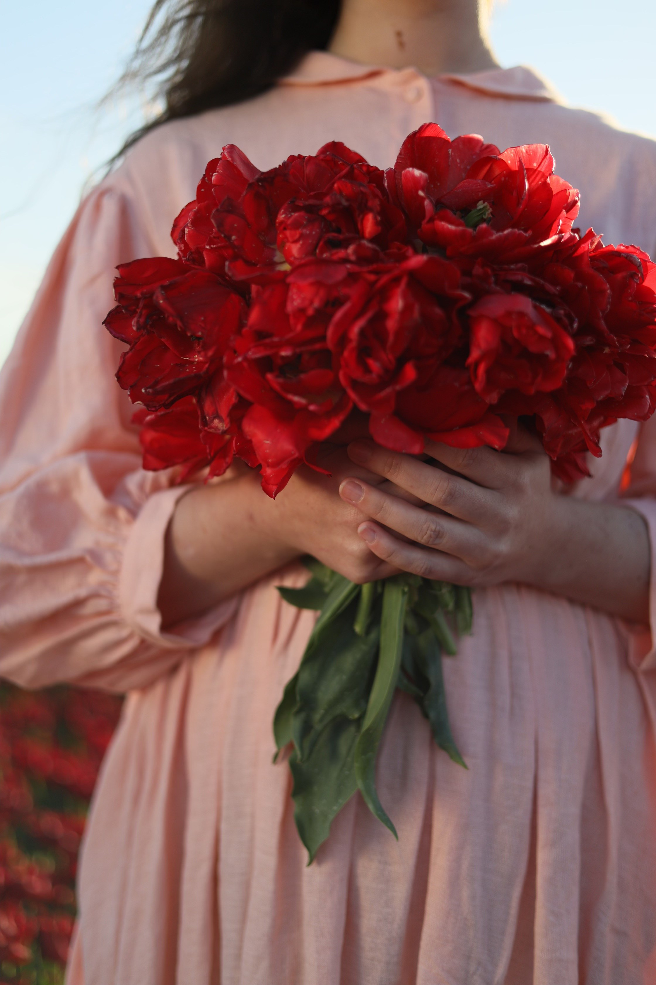 Tulip fields. Oxana Kirikidi Photography