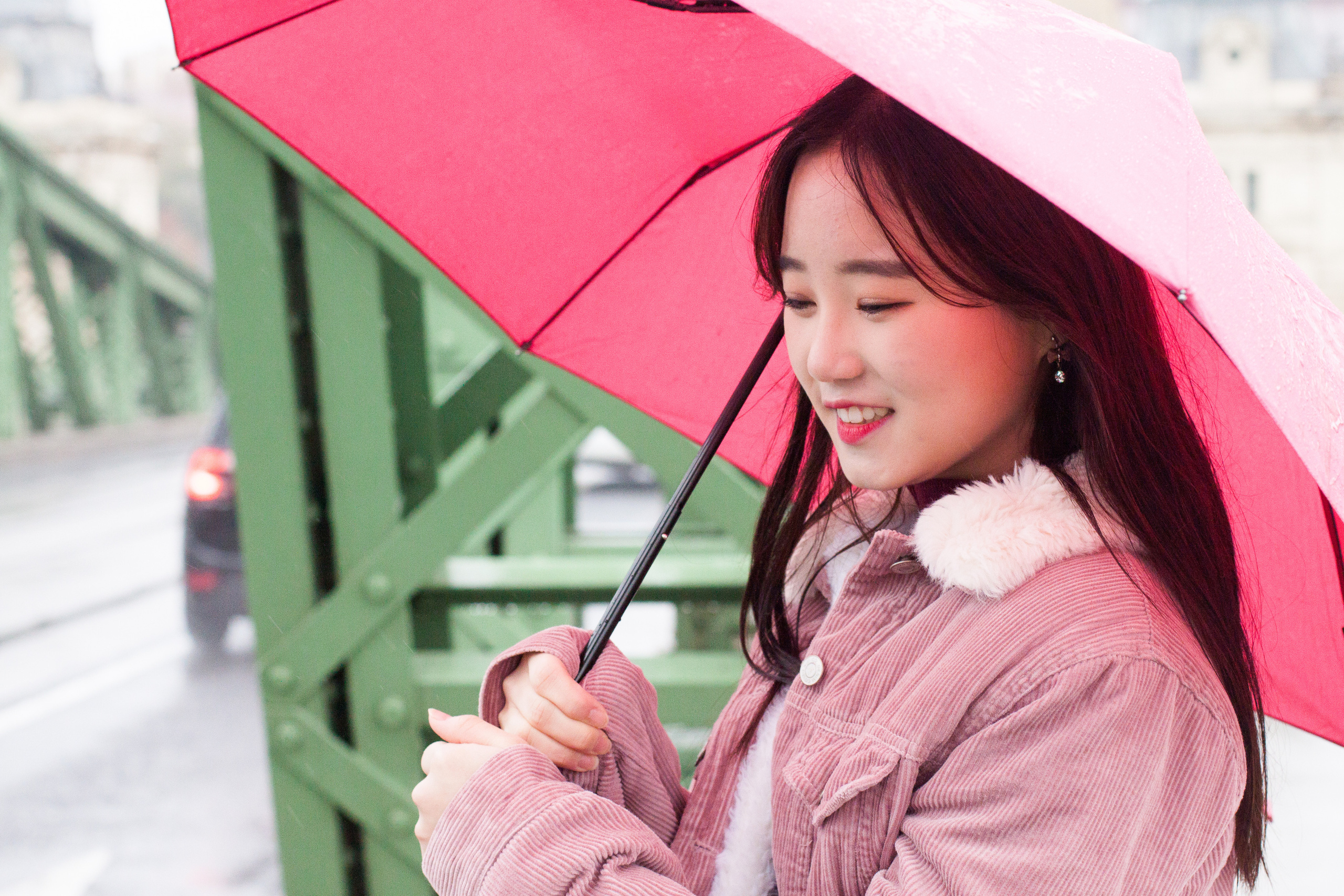 Rainy Budapest. Tetiana Shyshkina Photographer and Researcher