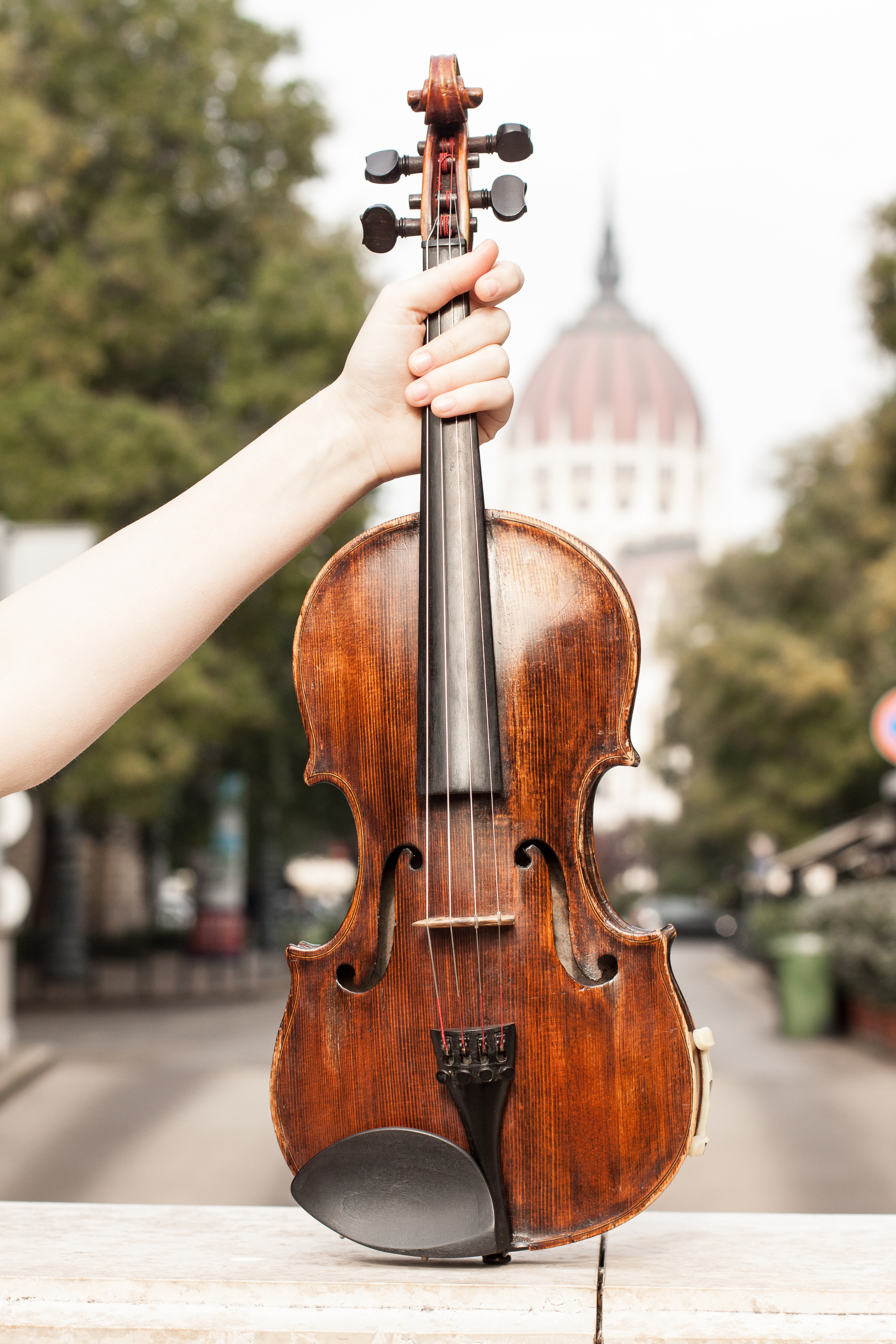 Violin Budapest. Тетяна Шишкіна фотографиня і дослідниця