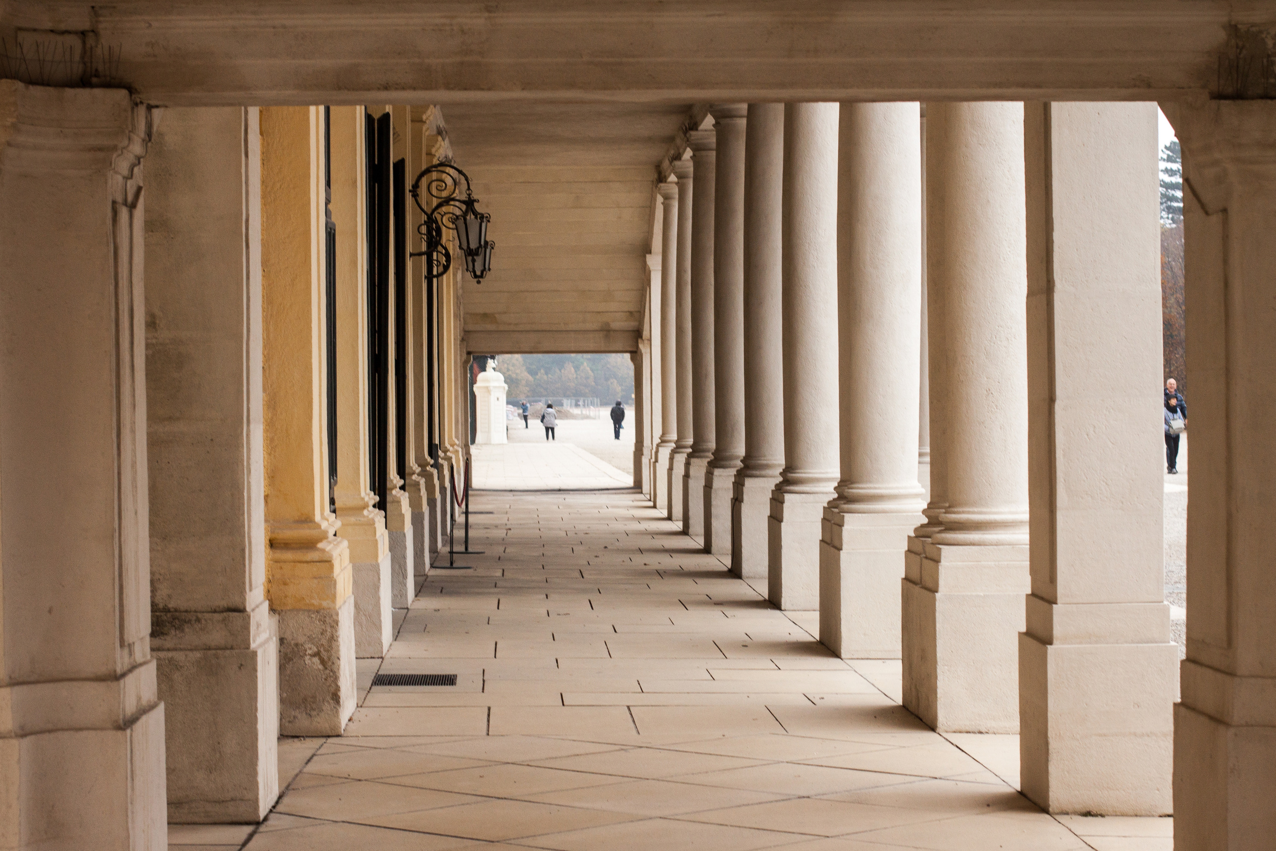 Vienna. Tetiana Shyshkina Photographer and Researcher