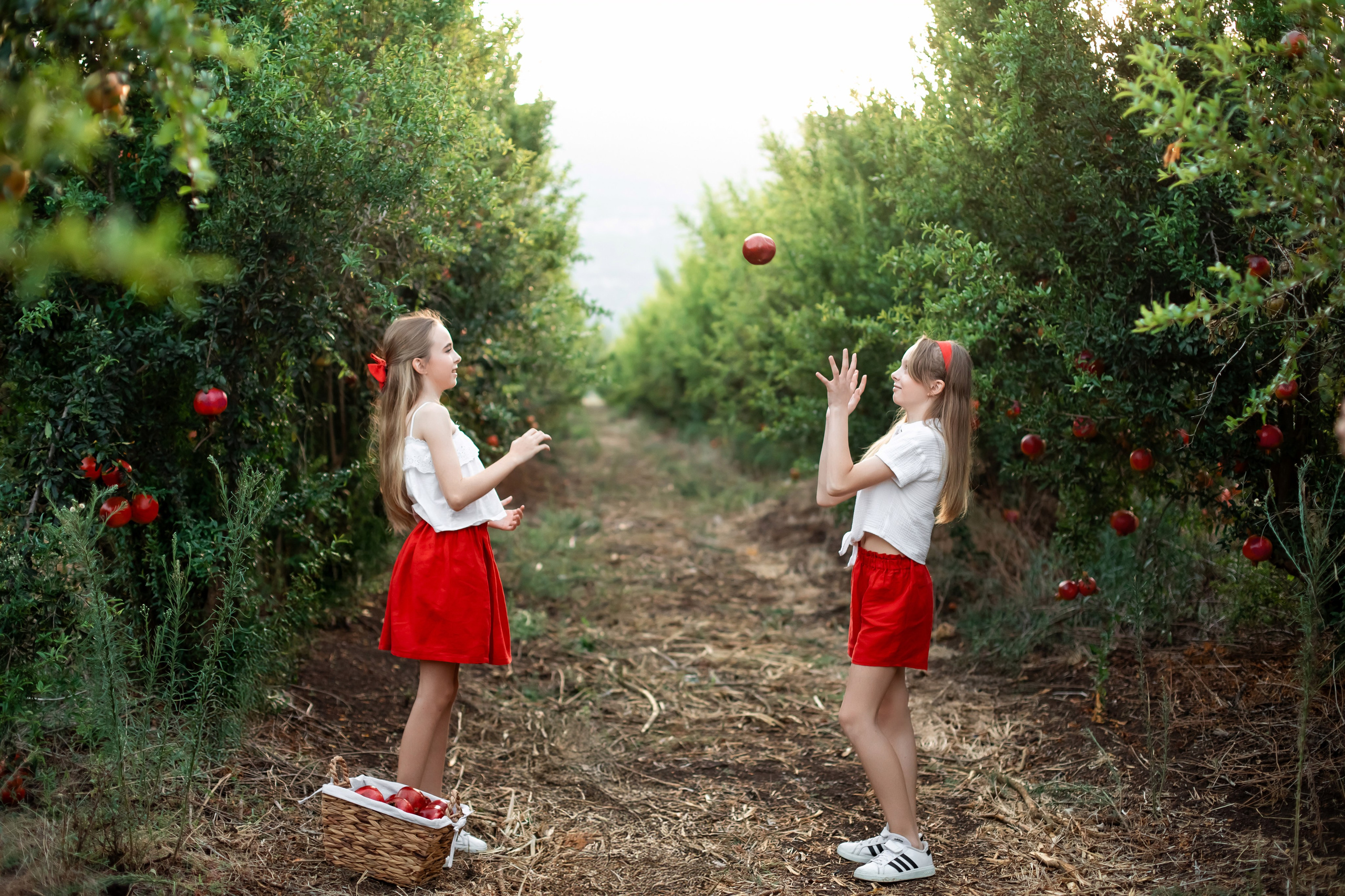 Children’s photoshoot in a pomegranate orchard — photographer Olga Kulik’s blog