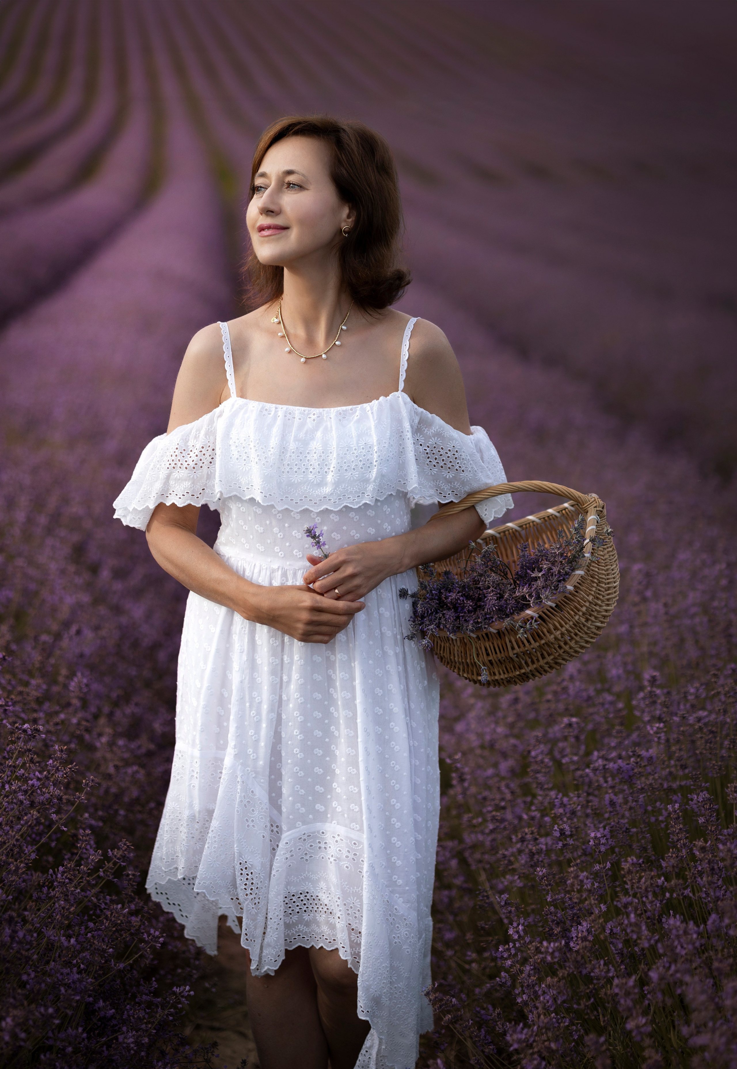 Lavendel. Photographer in Munich