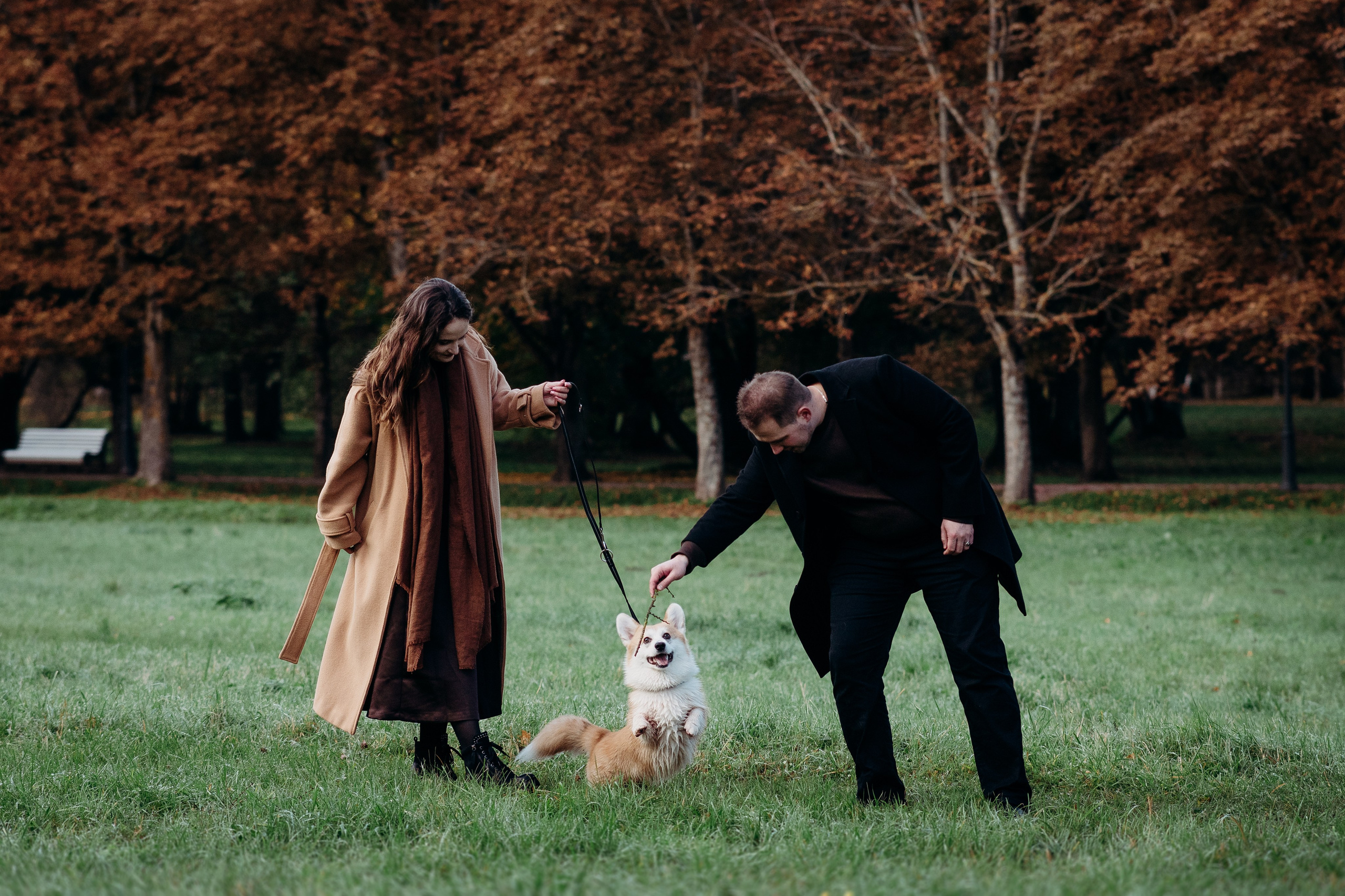 Liisa, Alexander & Marsel. Фотограф-анималист в Таллинне, Катя Лайсаар