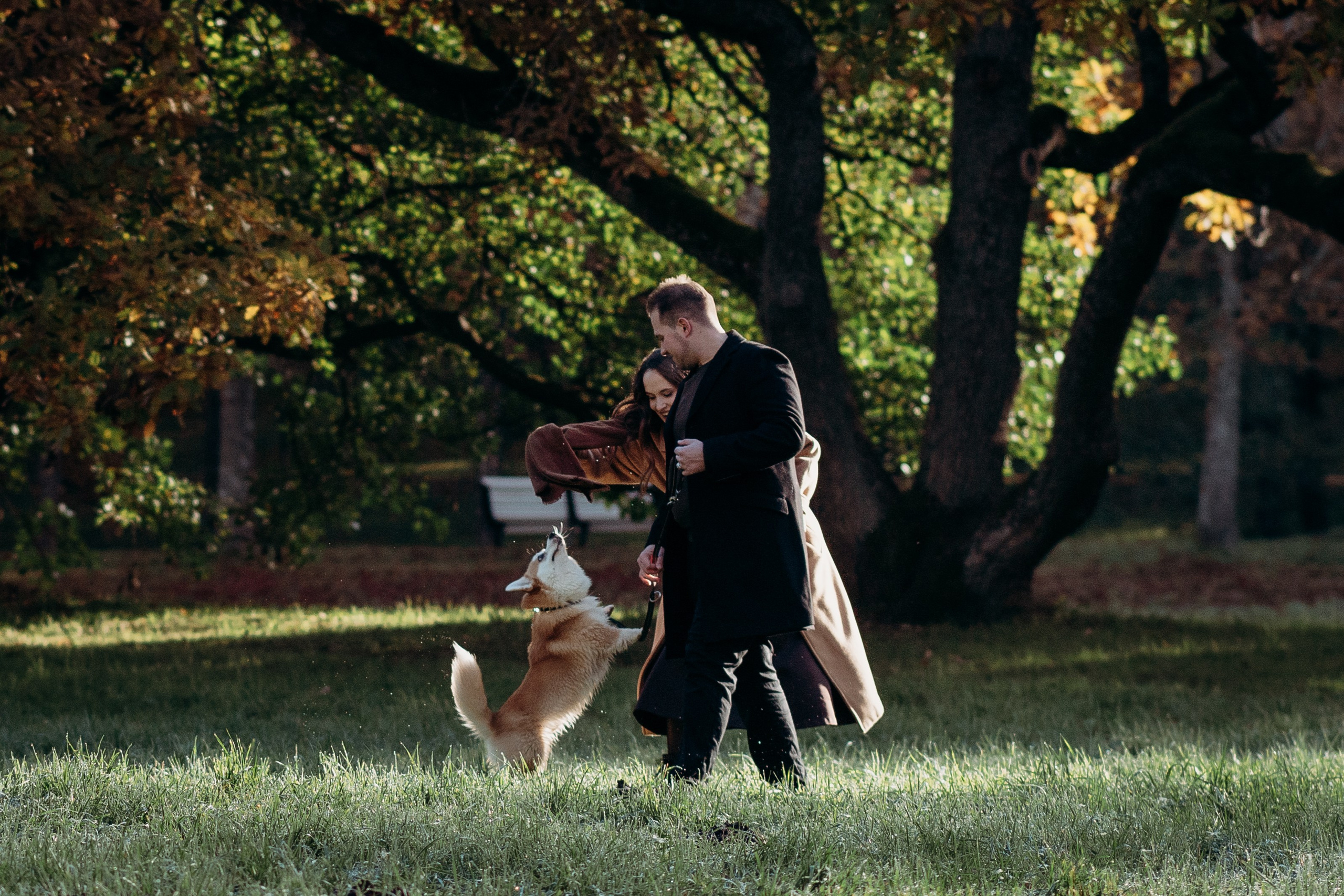 Liisa, Alexander & Marsel. Фотограф-анималист в Таллинне, Катя Лайсаар