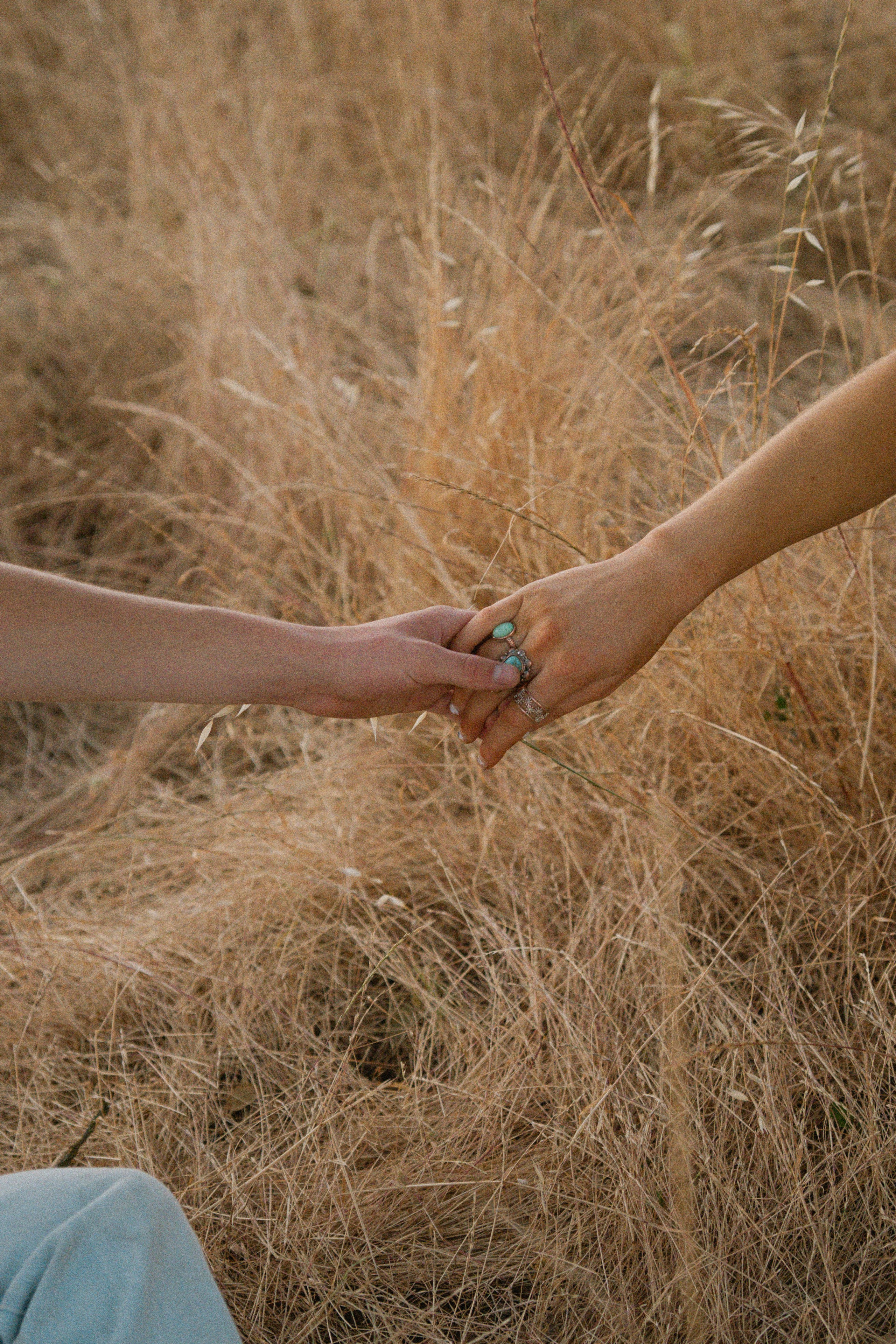 Love Story — Sacramento