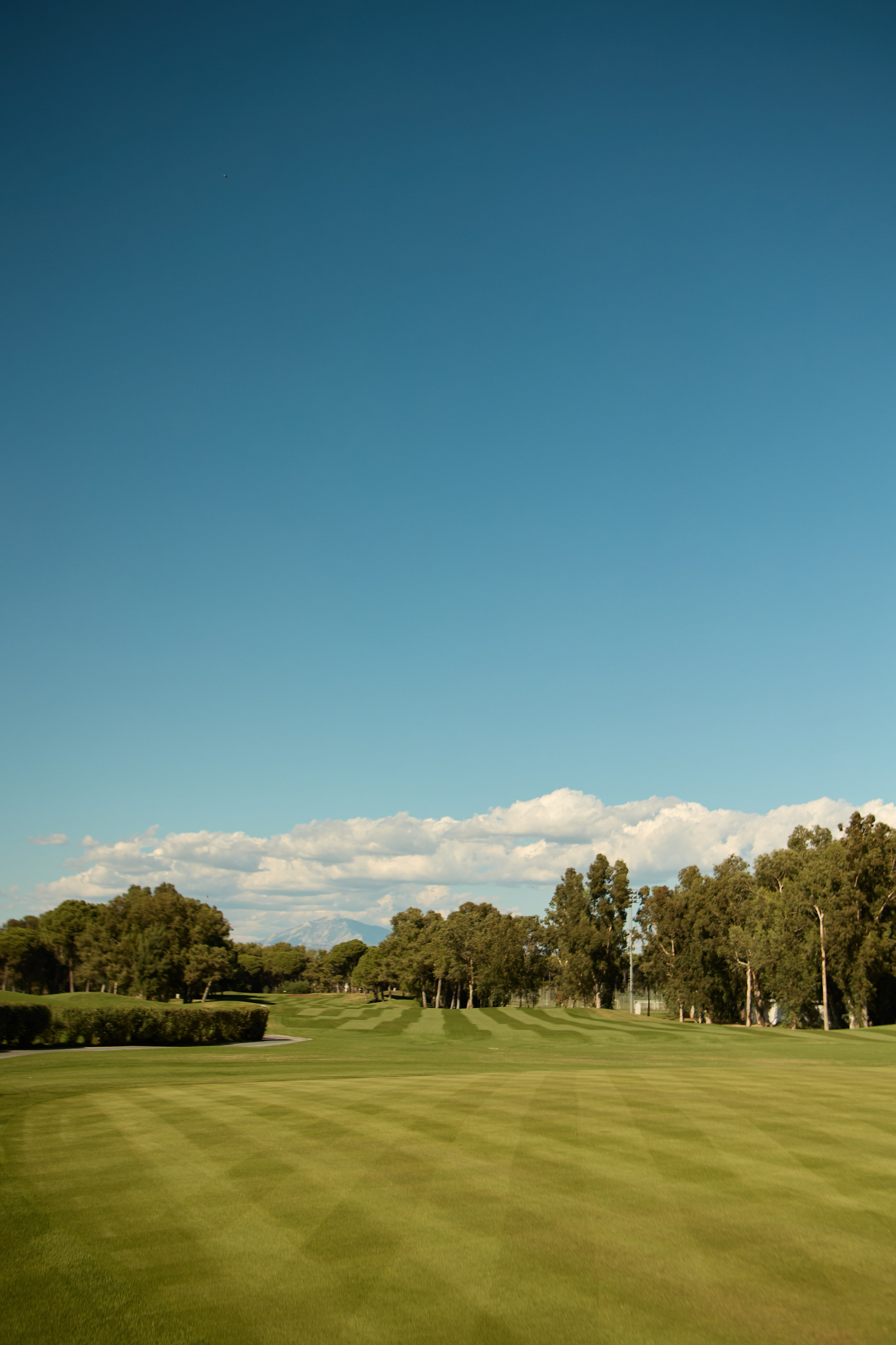 Тимбилдинг. Свадебный и семейный фотограф Жанна Руденко