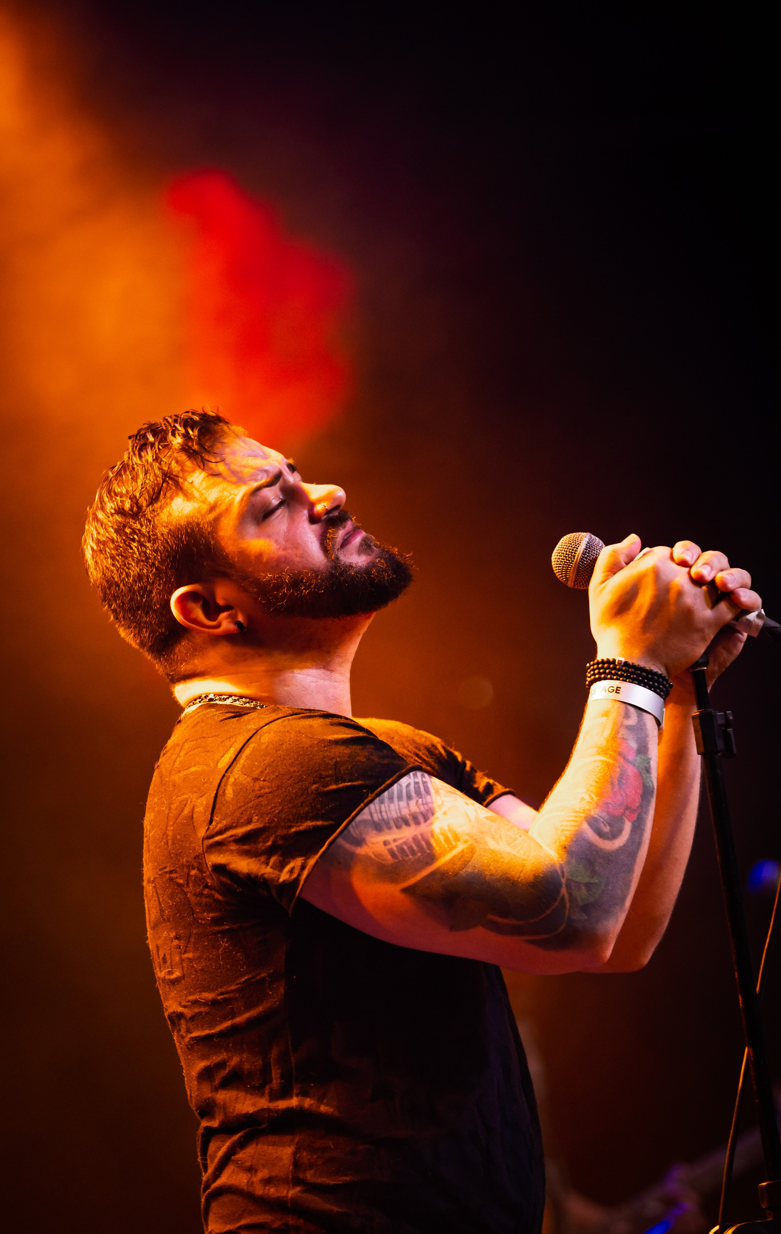 Bandas e Shows | Will Reis fotografia