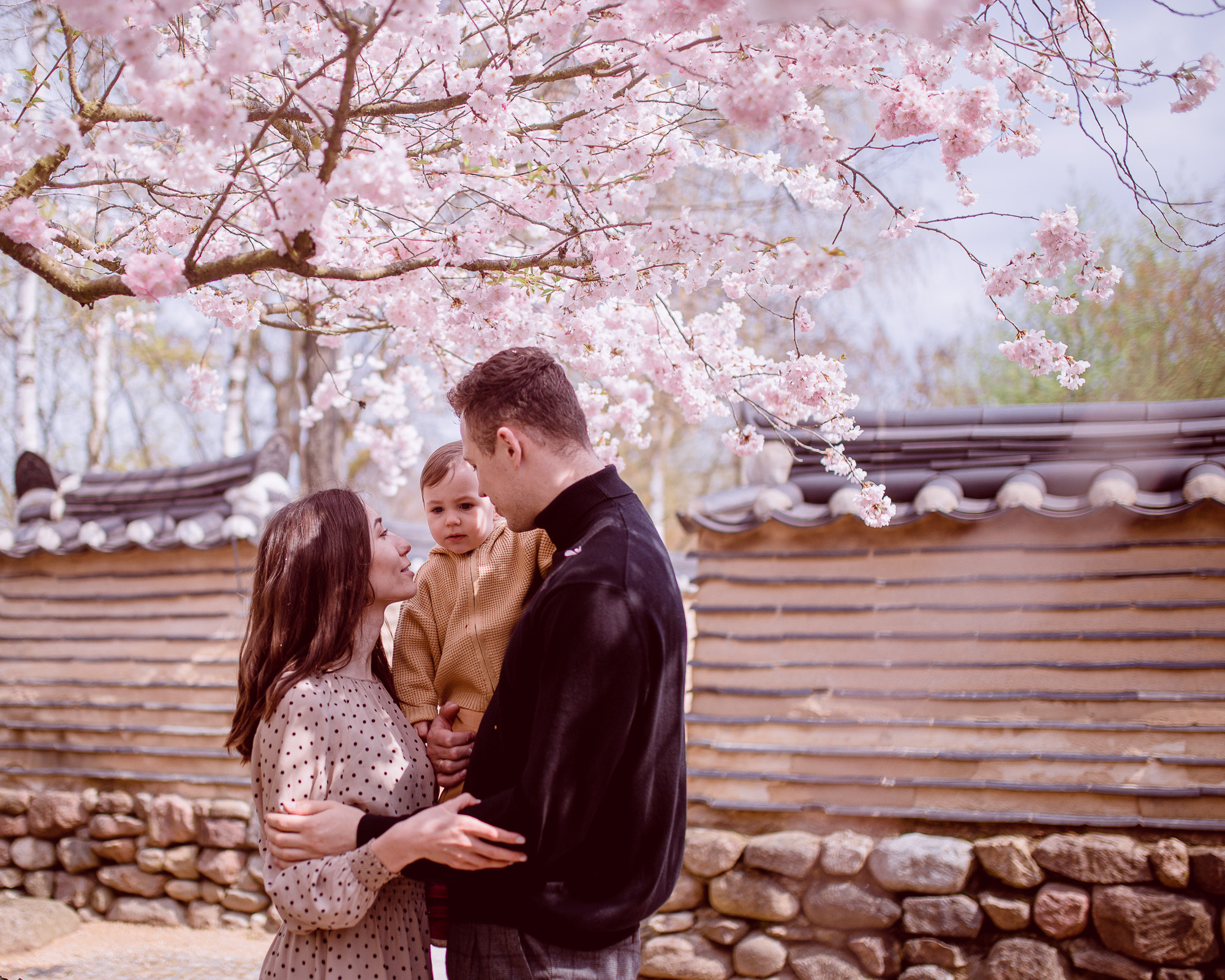 Fotoshootings in Japanischen Garten unter Sakura