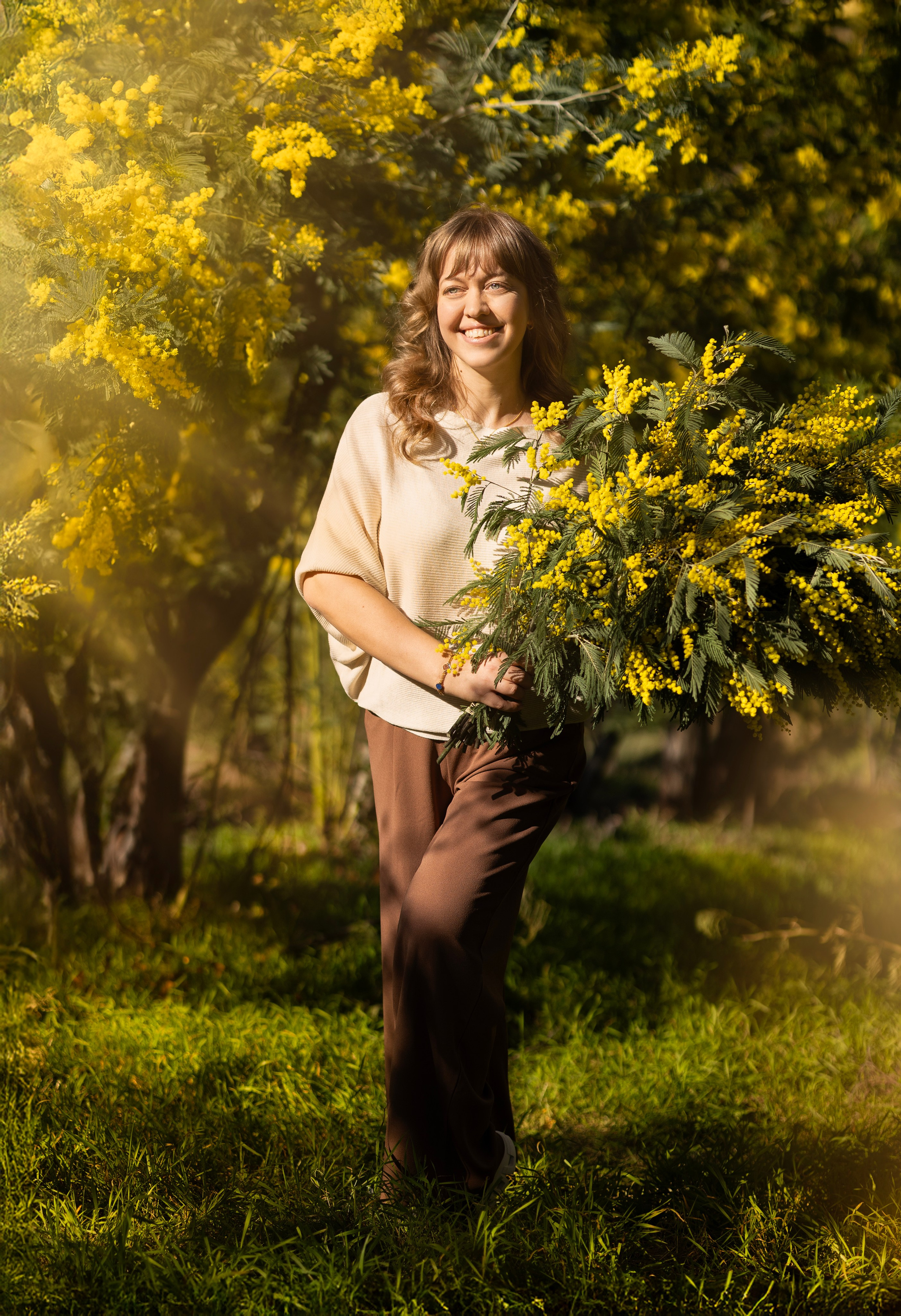 Mimosa. Photographer in Munich