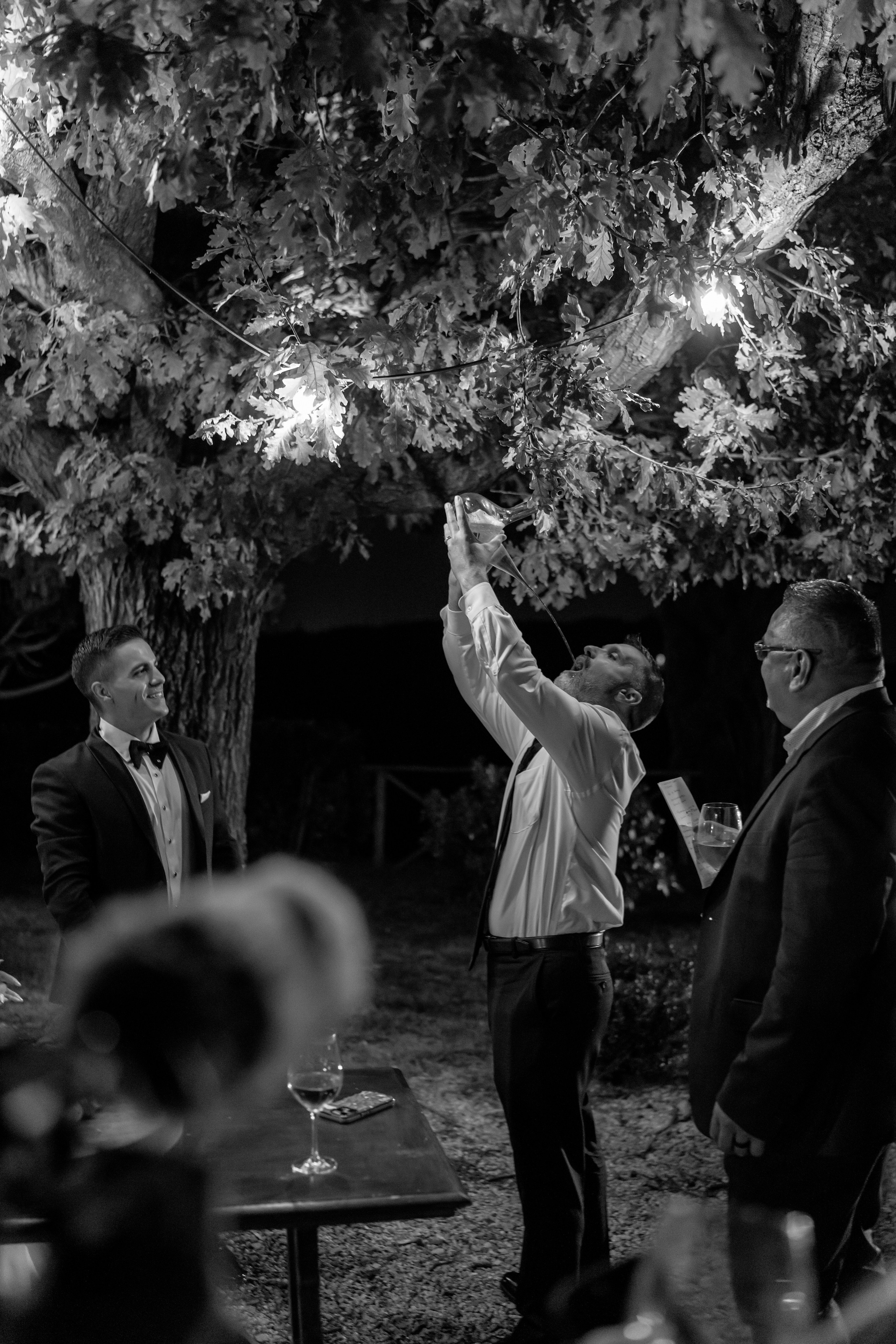 Dom&Ally. Весільний фотограф Вікторія Саврук