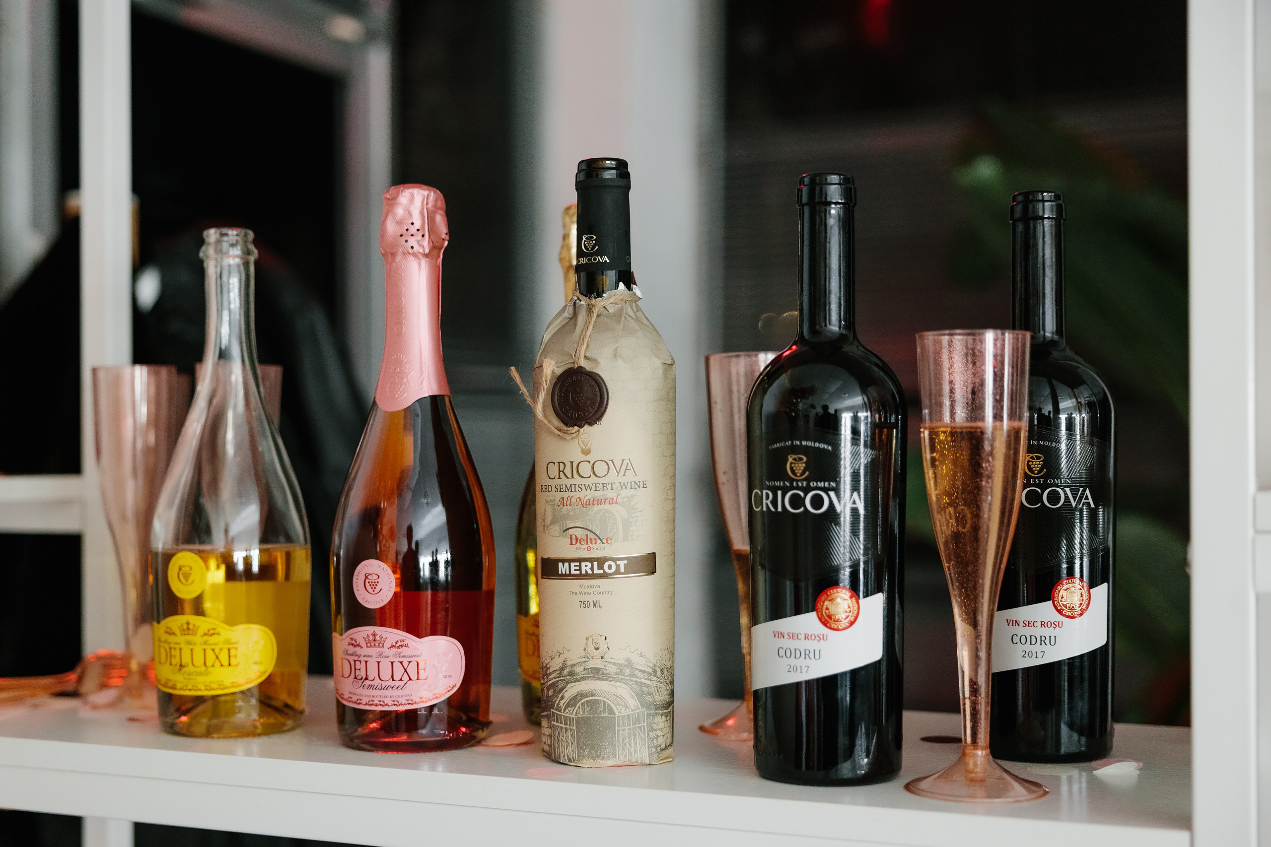 Grand Opening Trynkina Makeup 11.20.2022. Wedding family event photographer in Chicago Nick Yushevich