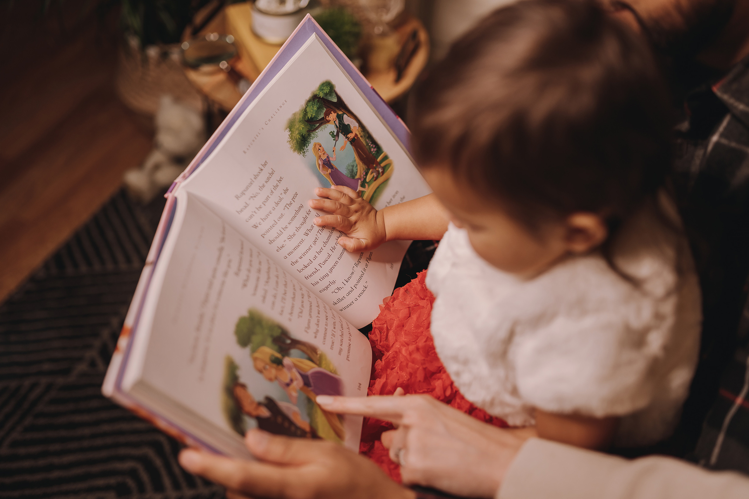 11.16.2022 Christmas Photoshoot 3. Wedding family event photographer in Chicago Nick Yushevich