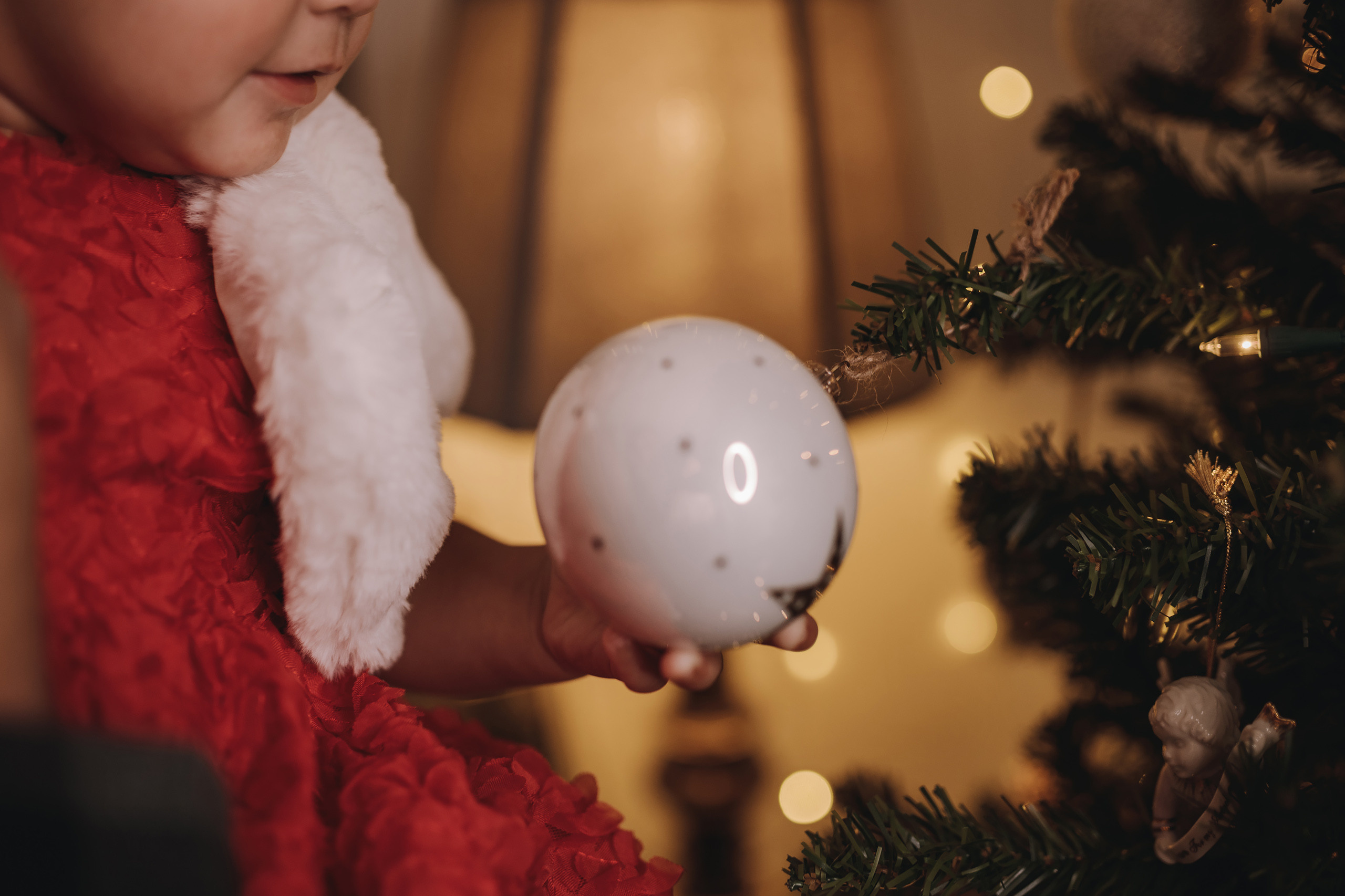 11.16.2022 Christmas Photoshoot 3. Wedding family event photographer in Chicago Nick Yushevich