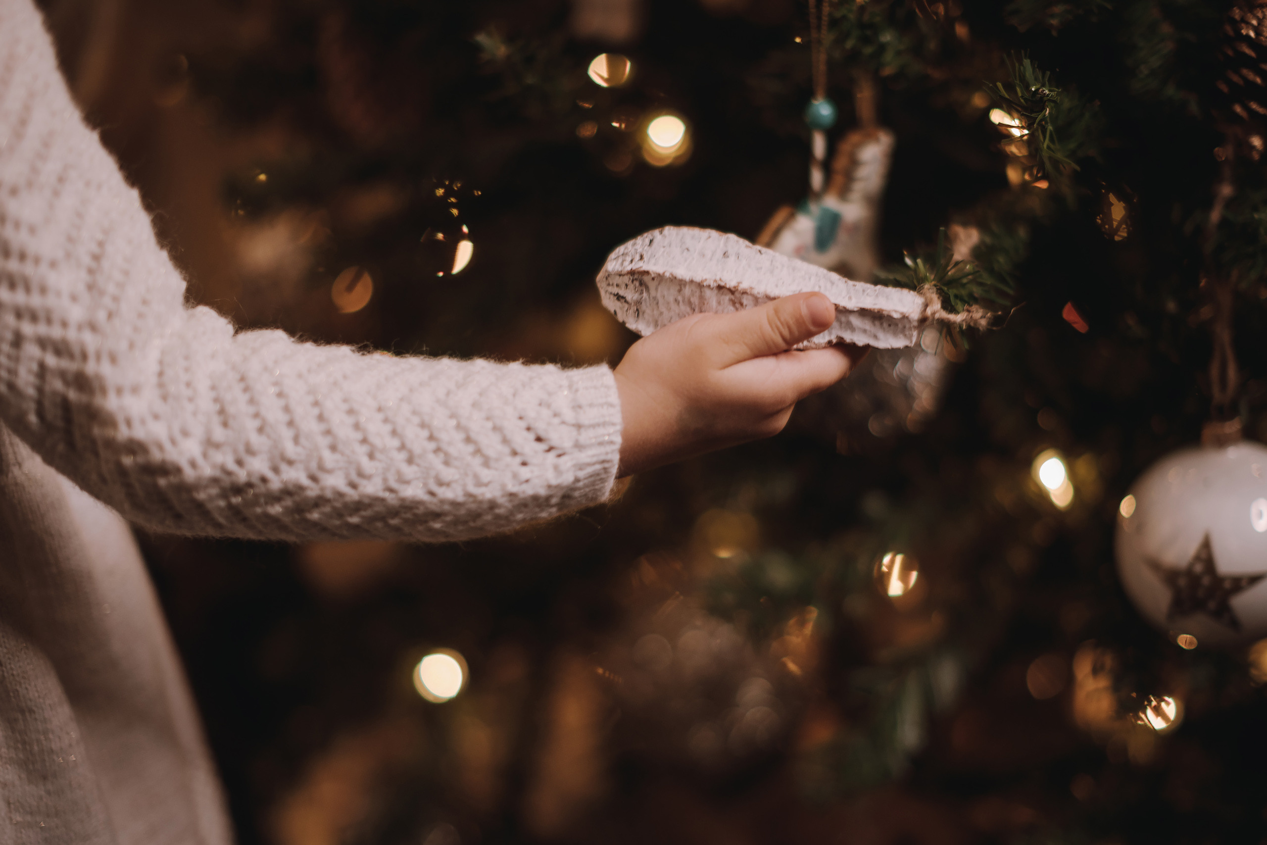 11.19.2022 Christmas Photoshoot 4. Wedding family event photographer in Chicago Nick Yushevich