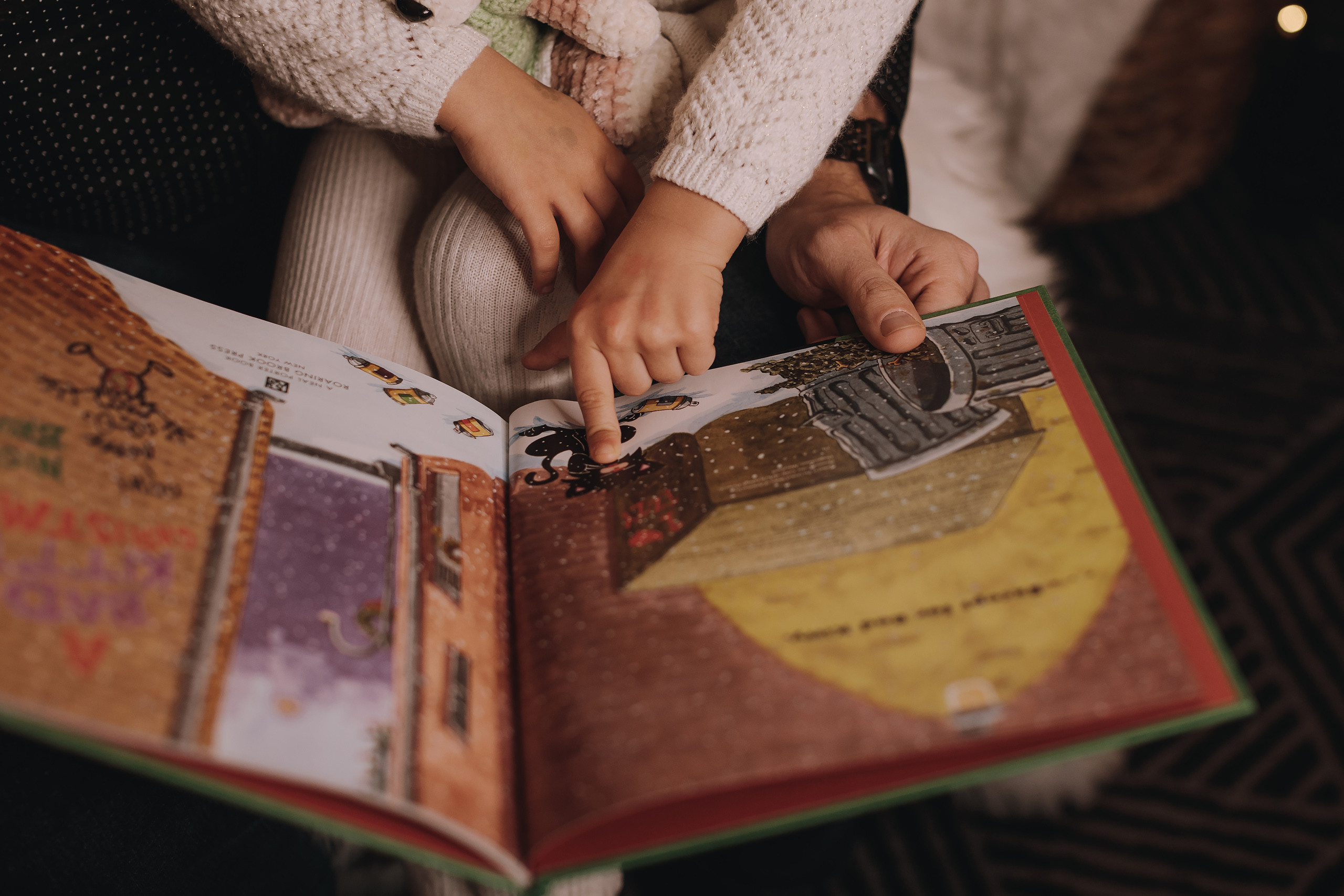 11.19.2022 Christmas Photoshoot 4. Wedding family event photographer in Chicago Nick Yushevich