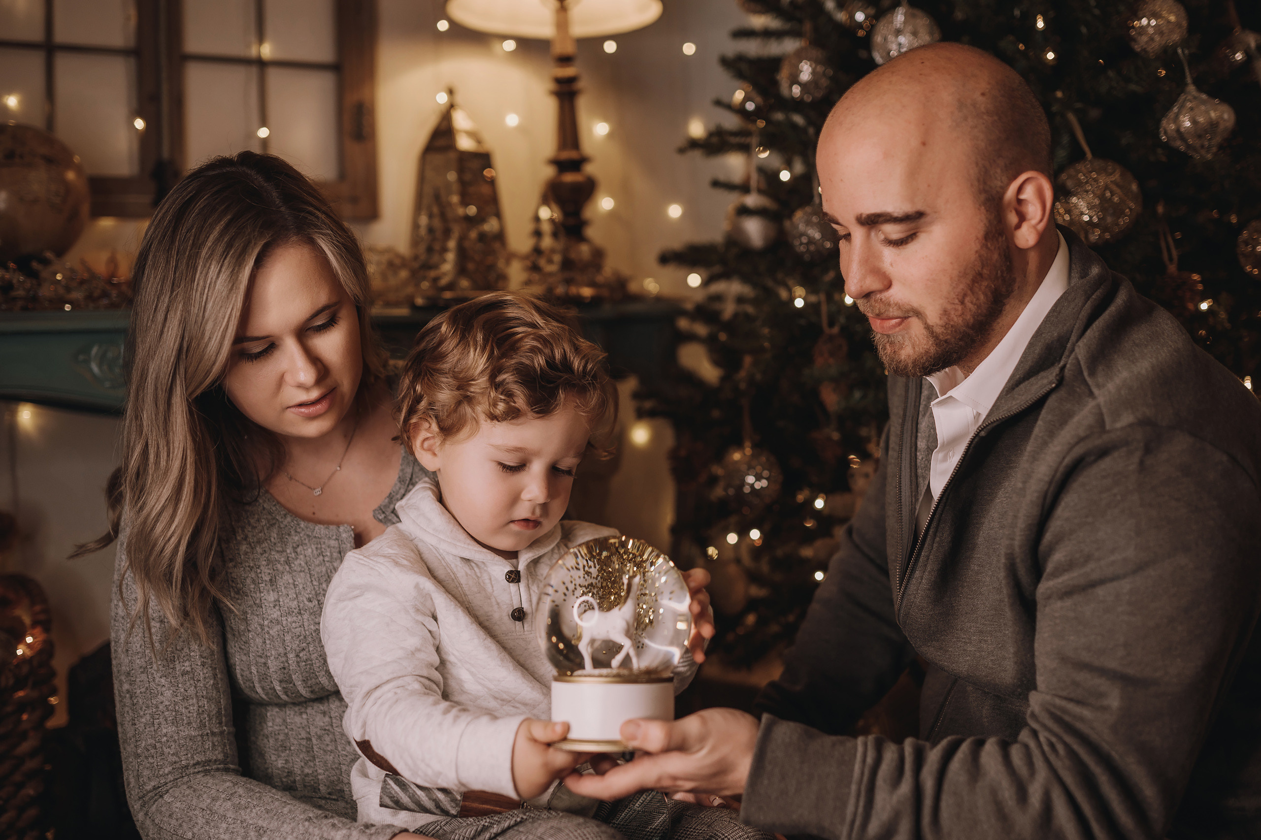 11.27.2022 Christmas Photoshoot 7. Wedding family event photographer in Chicago Nick Yushevich