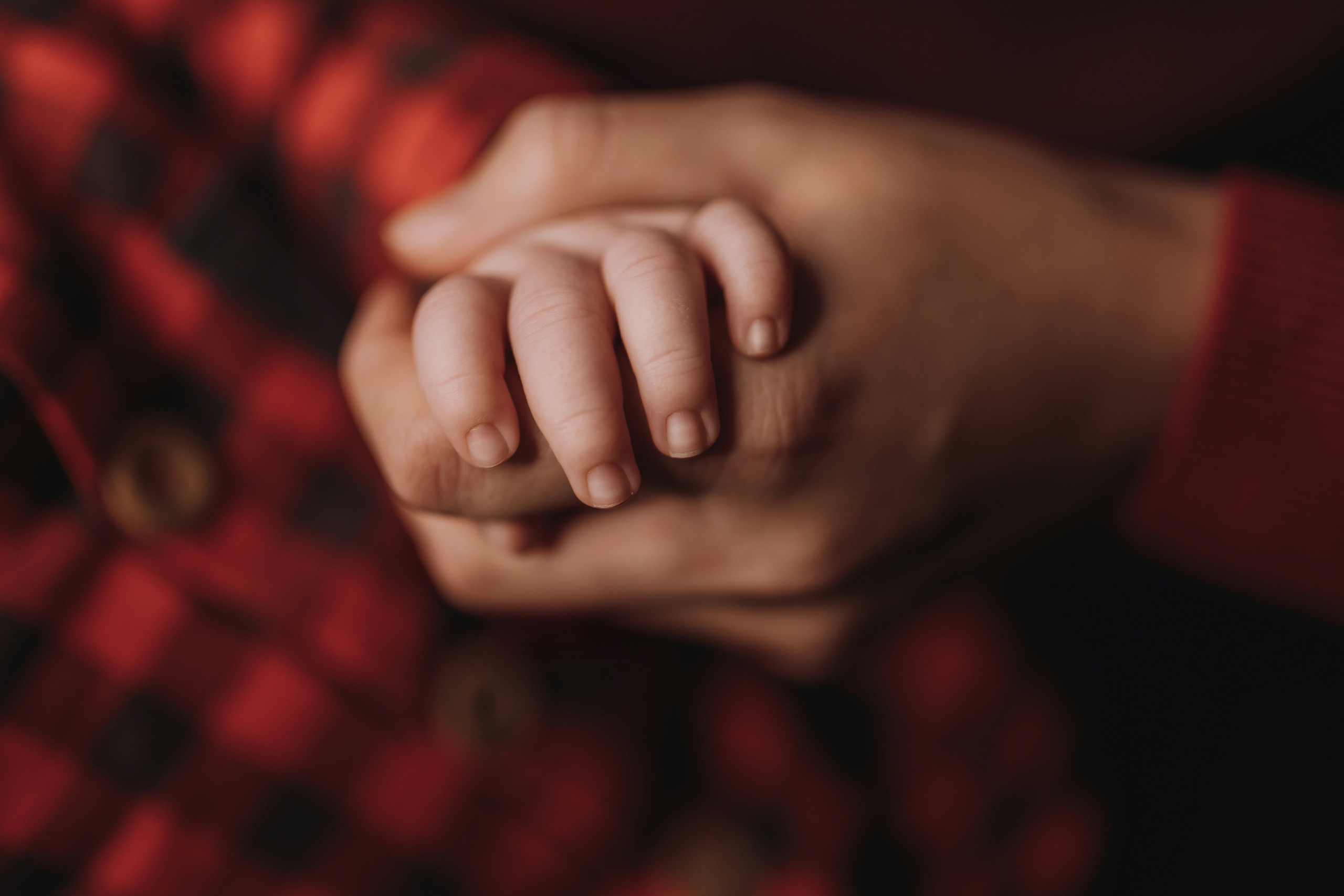 11.26.2022 Christmas Photoshoot 9. Wedding family event photographer in Chicago Nick Yushevich