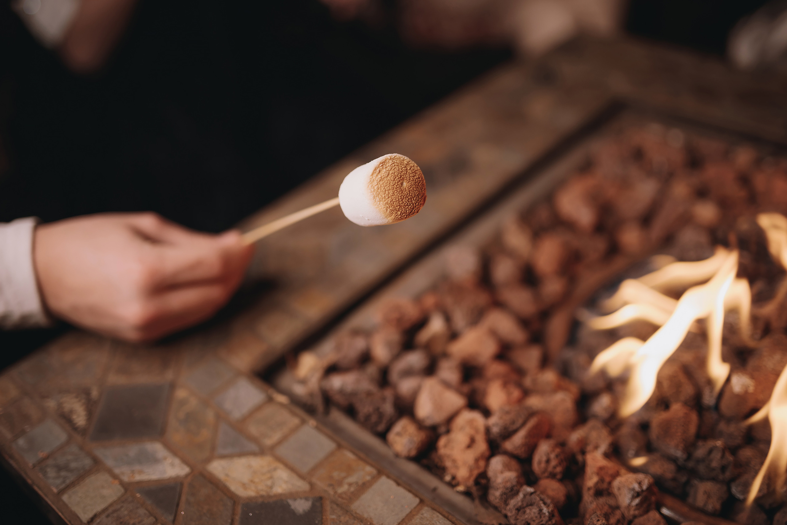 11.26.2022 Christmas Photoshoot. Wedding family event photographer in Chicago Nick Yushevich