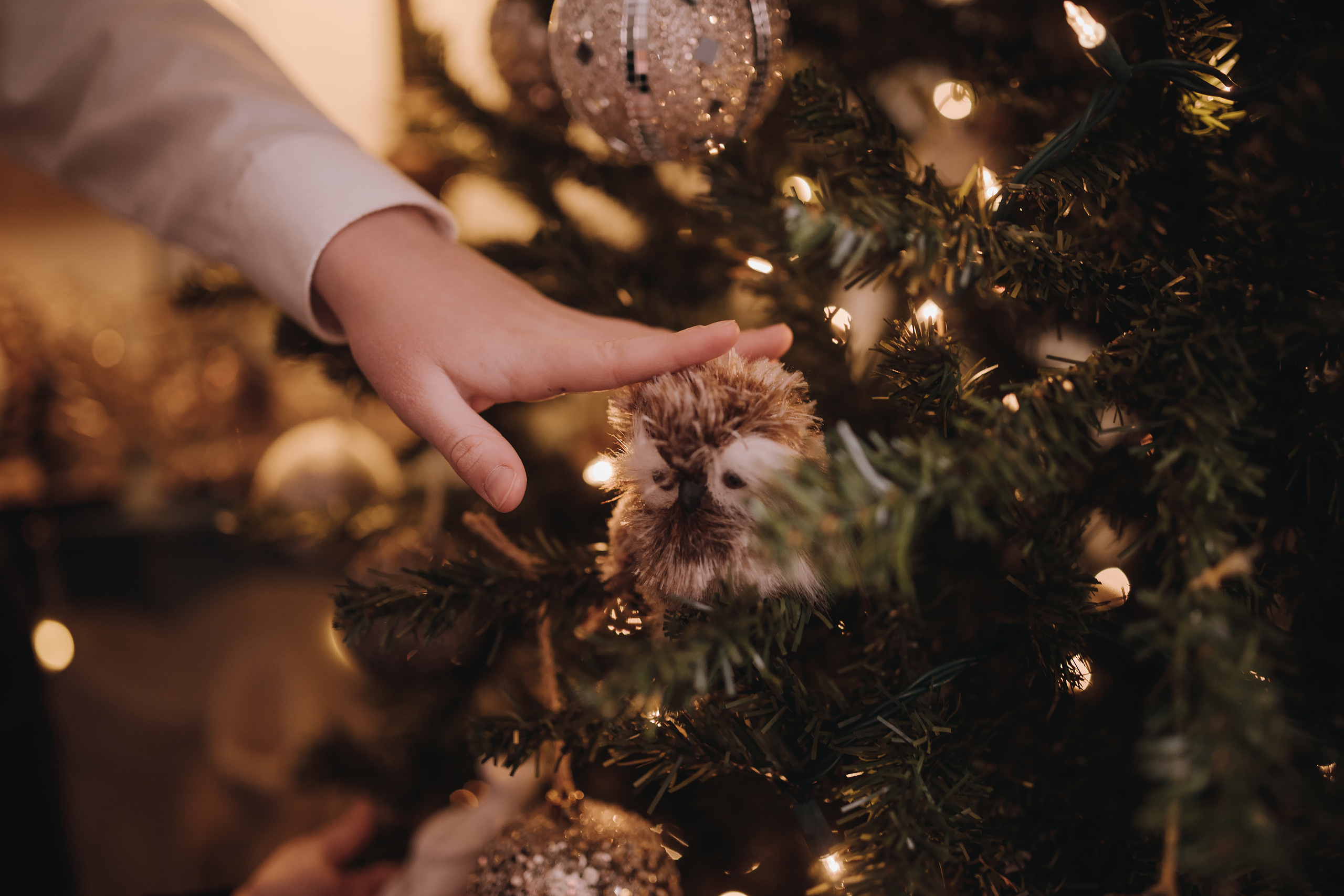 11.25.2022 Christmas Photoshoot 5. Wedding family event photographer in Chicago Nick Yushevich