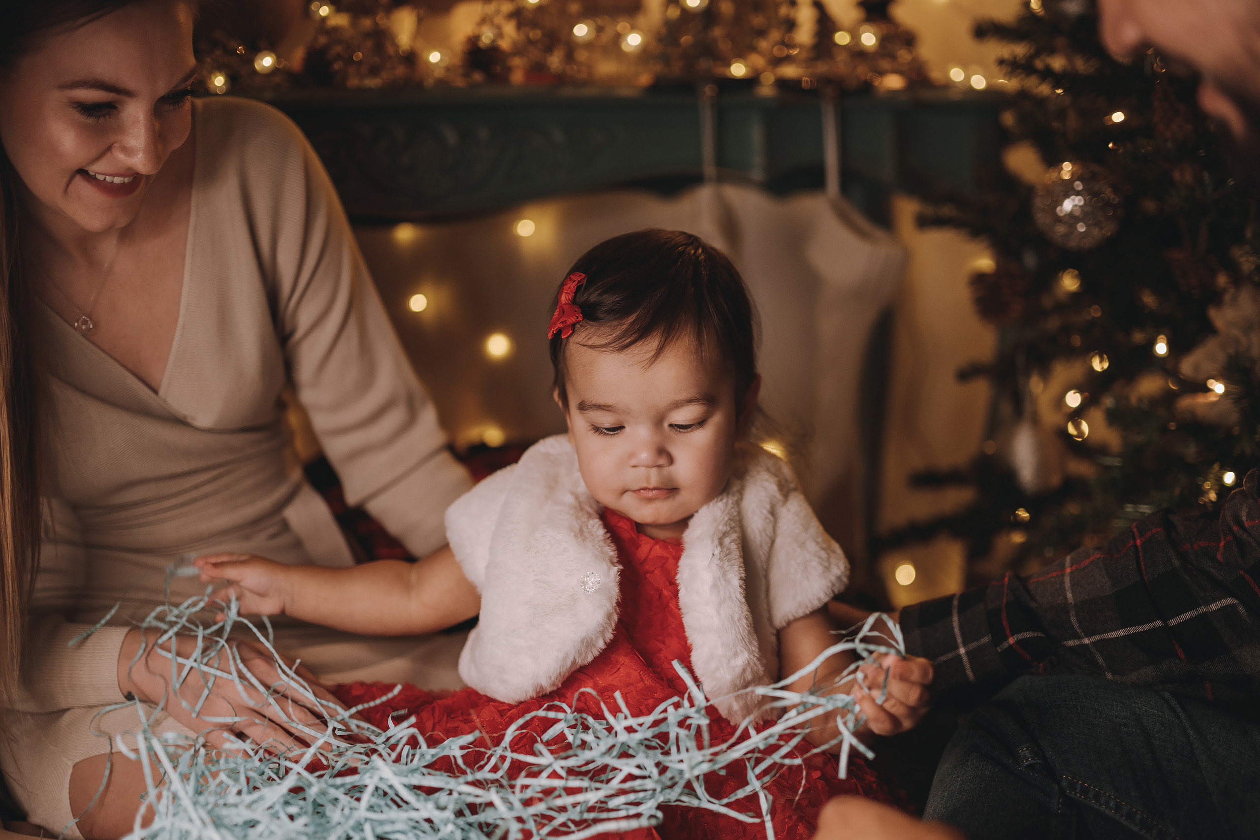 11.16.2022 Christmas Photoshoot 3. Wedding family event photographer in Chicago Nick Yushevich