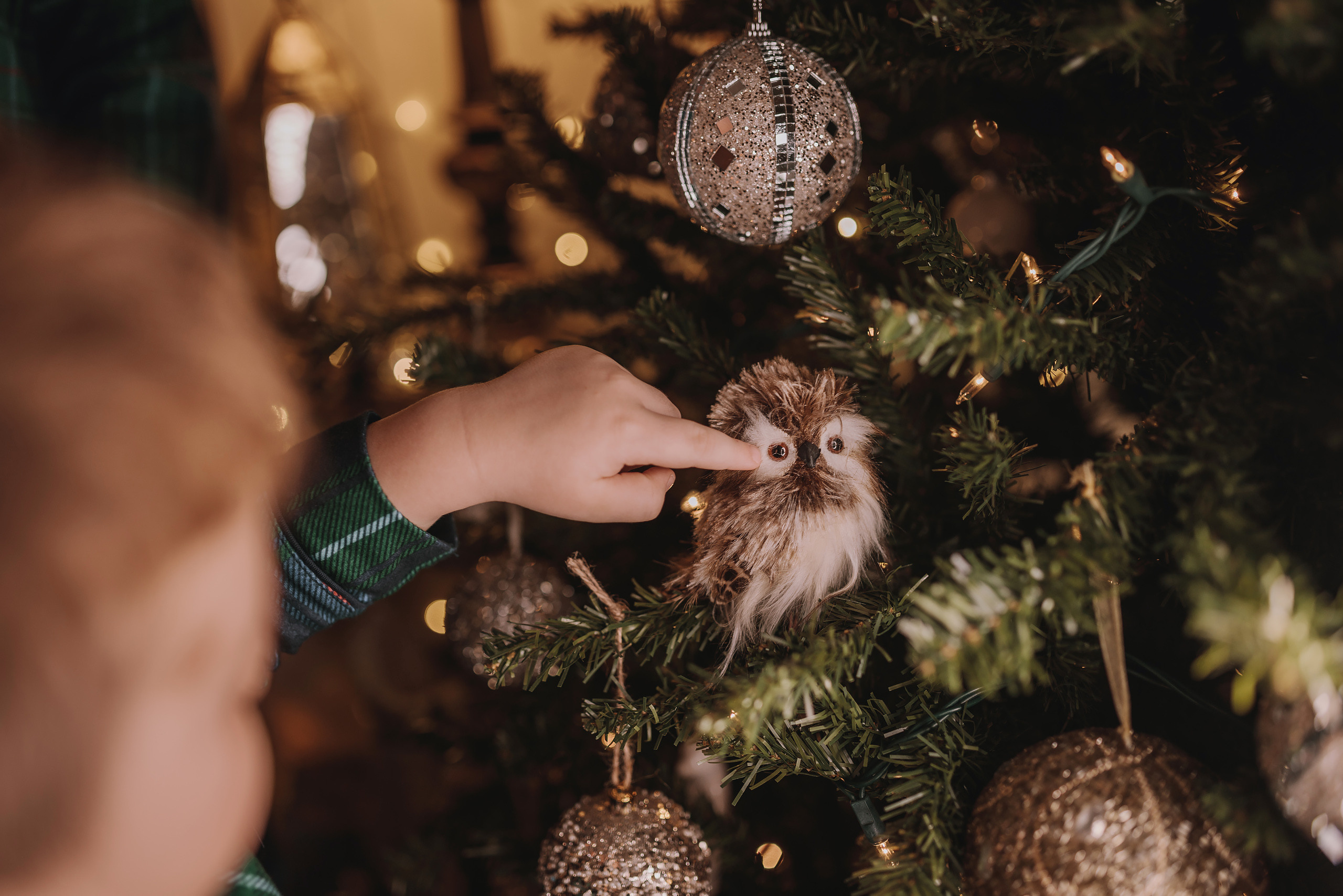 11.27.2022 Christmas Photoshoot 8. Wedding family event photographer in Chicago Nick Yushevich