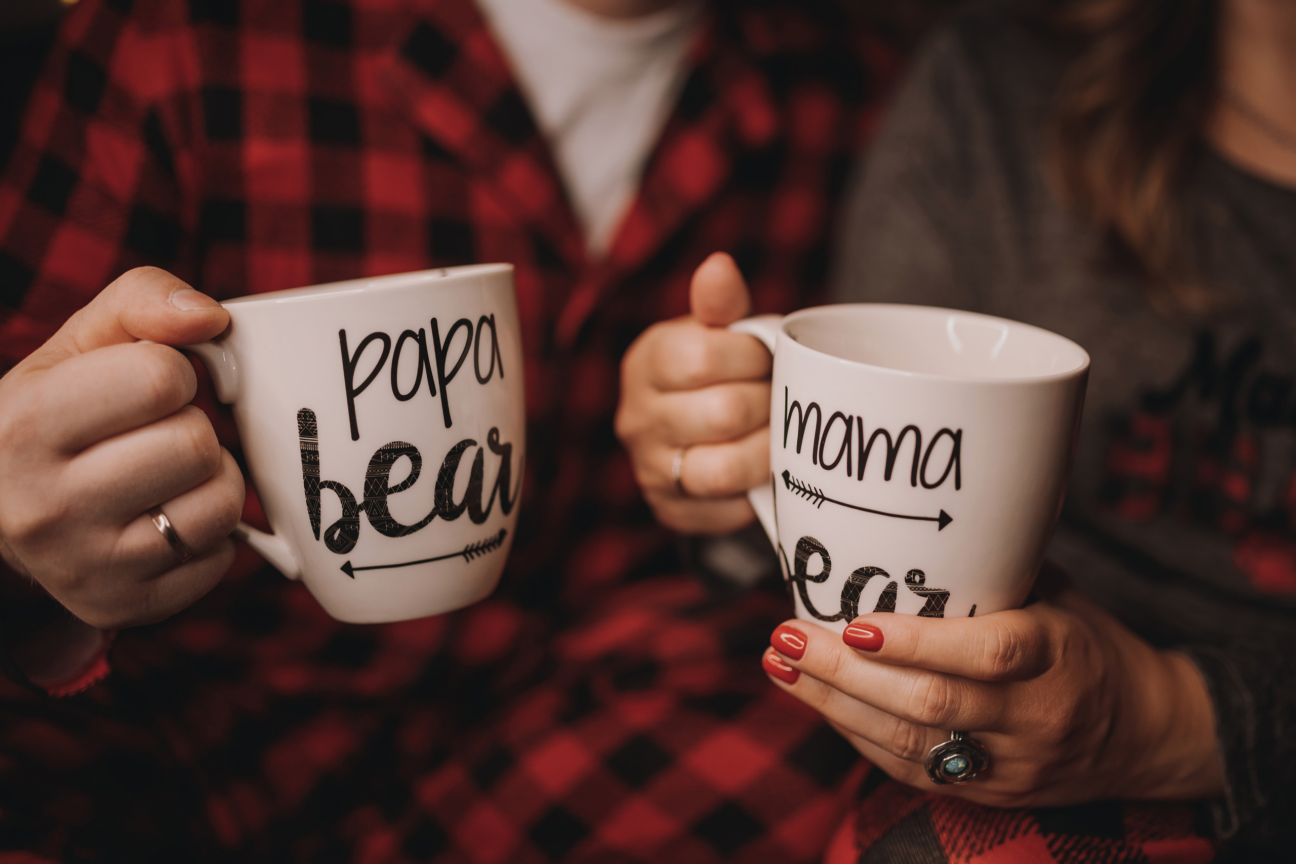 11.12.2022 Christmas Photoshoot 1. Wedding family event photographer in Chicago Nick Yushevich