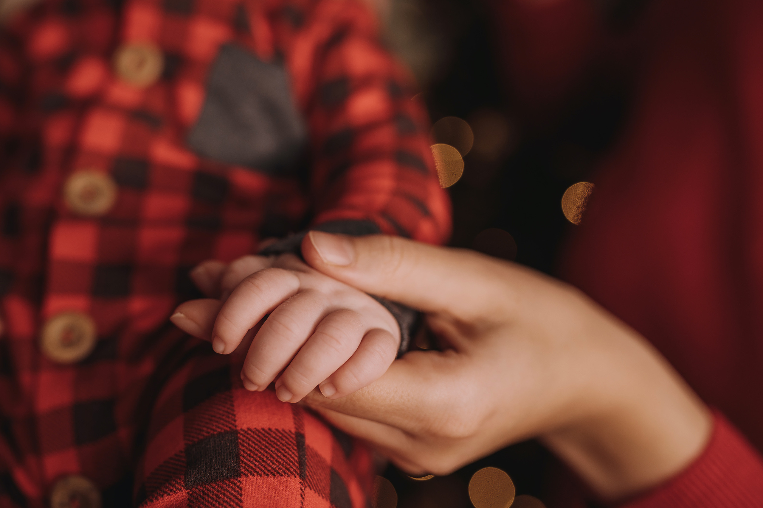 11.26.2022 Christmas Photoshoot 9. Wedding family event photographer in Chicago Nick Yushevich