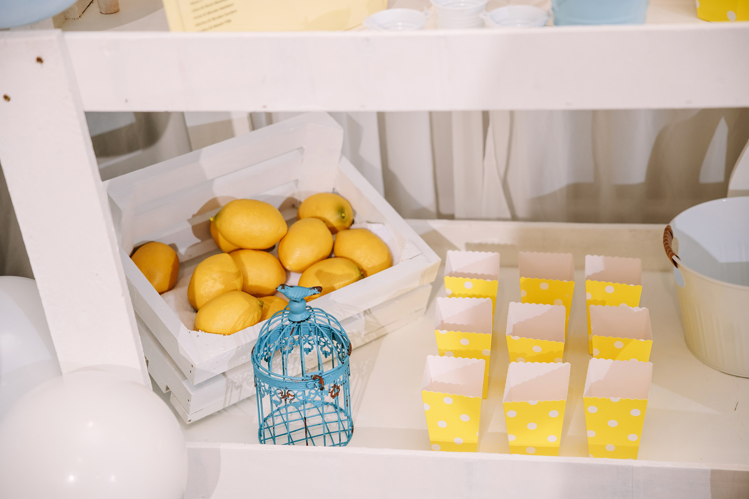 09.25.22 Christening Party. Wedding family event photographer in Chicago Nick Yushevich