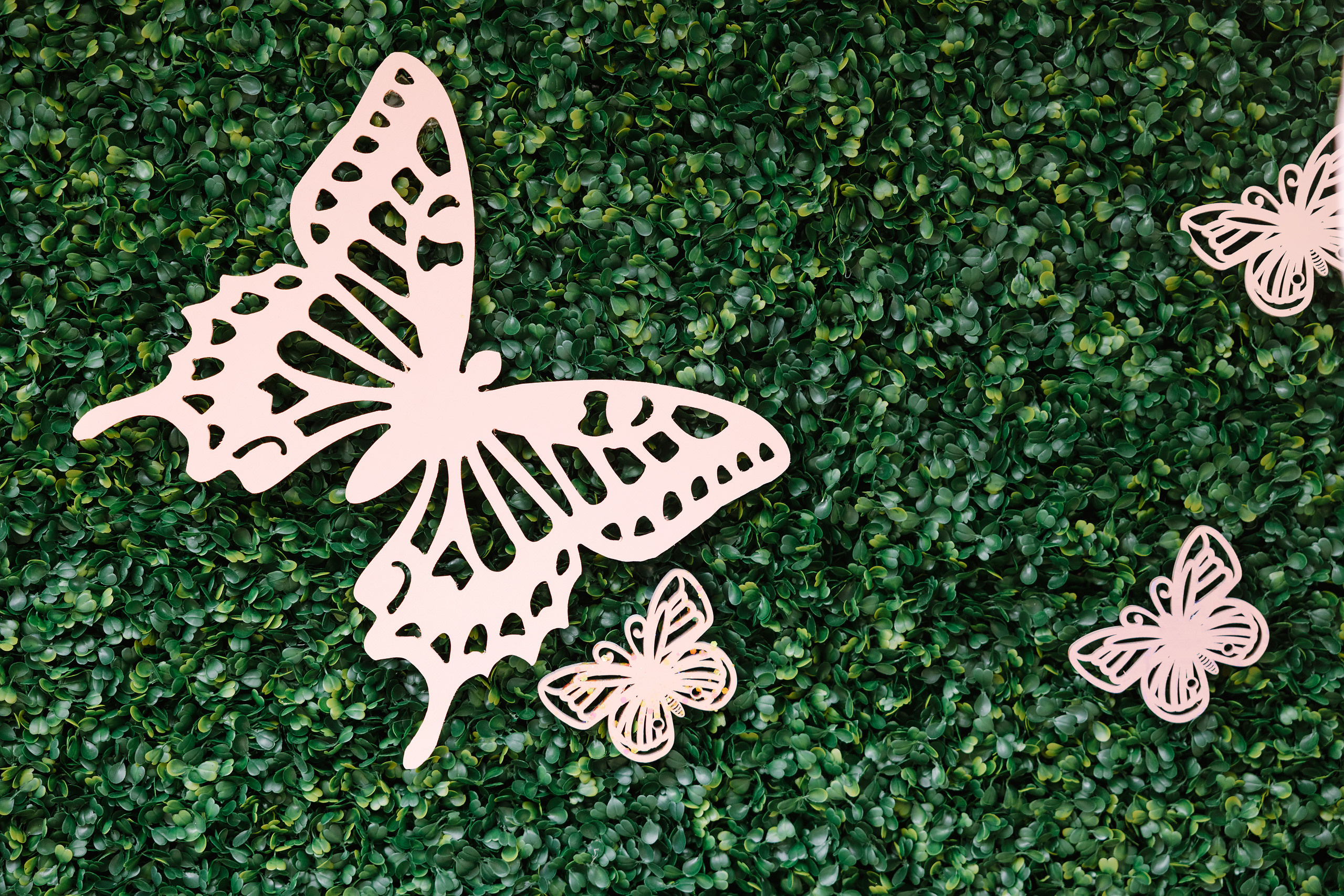 08.14.2022 Baby shower. Wedding family event photographer in Chicago Nick Yushevich