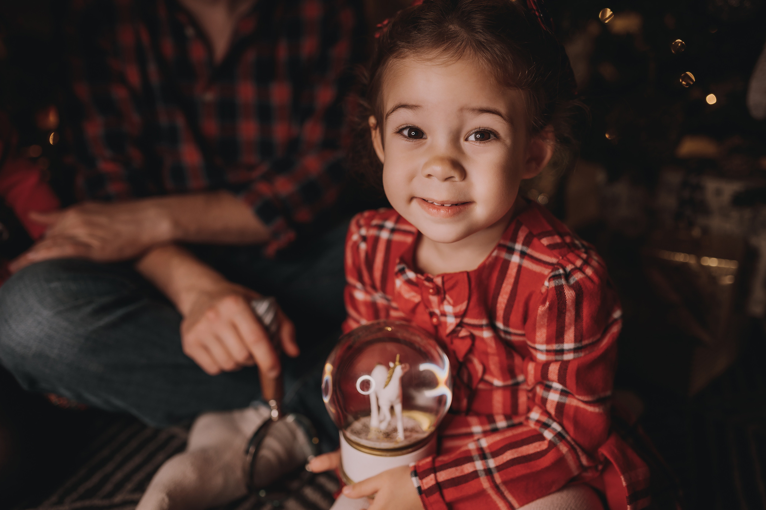 11.14.2022 Christmas Photoshoot 2. Wedding family event photographer in Chicago Nick Yushevich