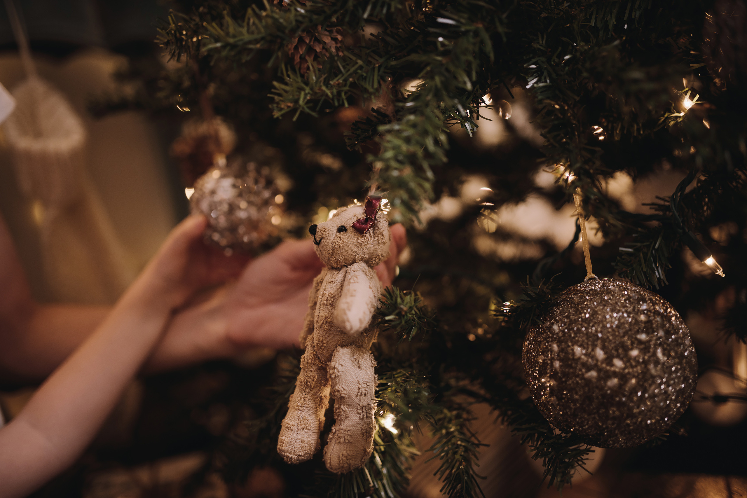 11.25.2022 Christmas Photoshoot 6. Wedding family event photographer in Chicago Nick Yushevich